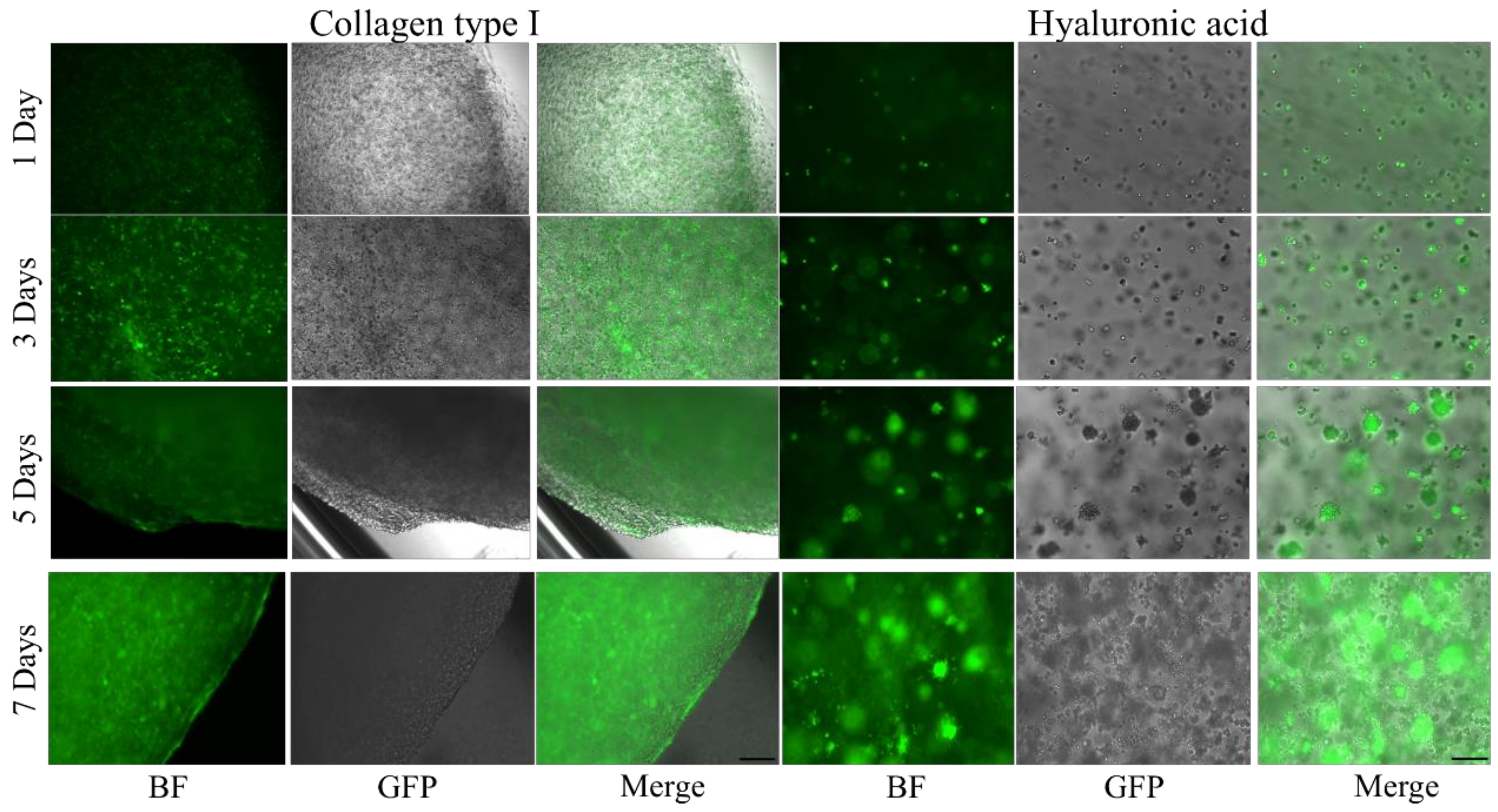 Applsci 10 09076 g006 Applsci 10 09076 g006