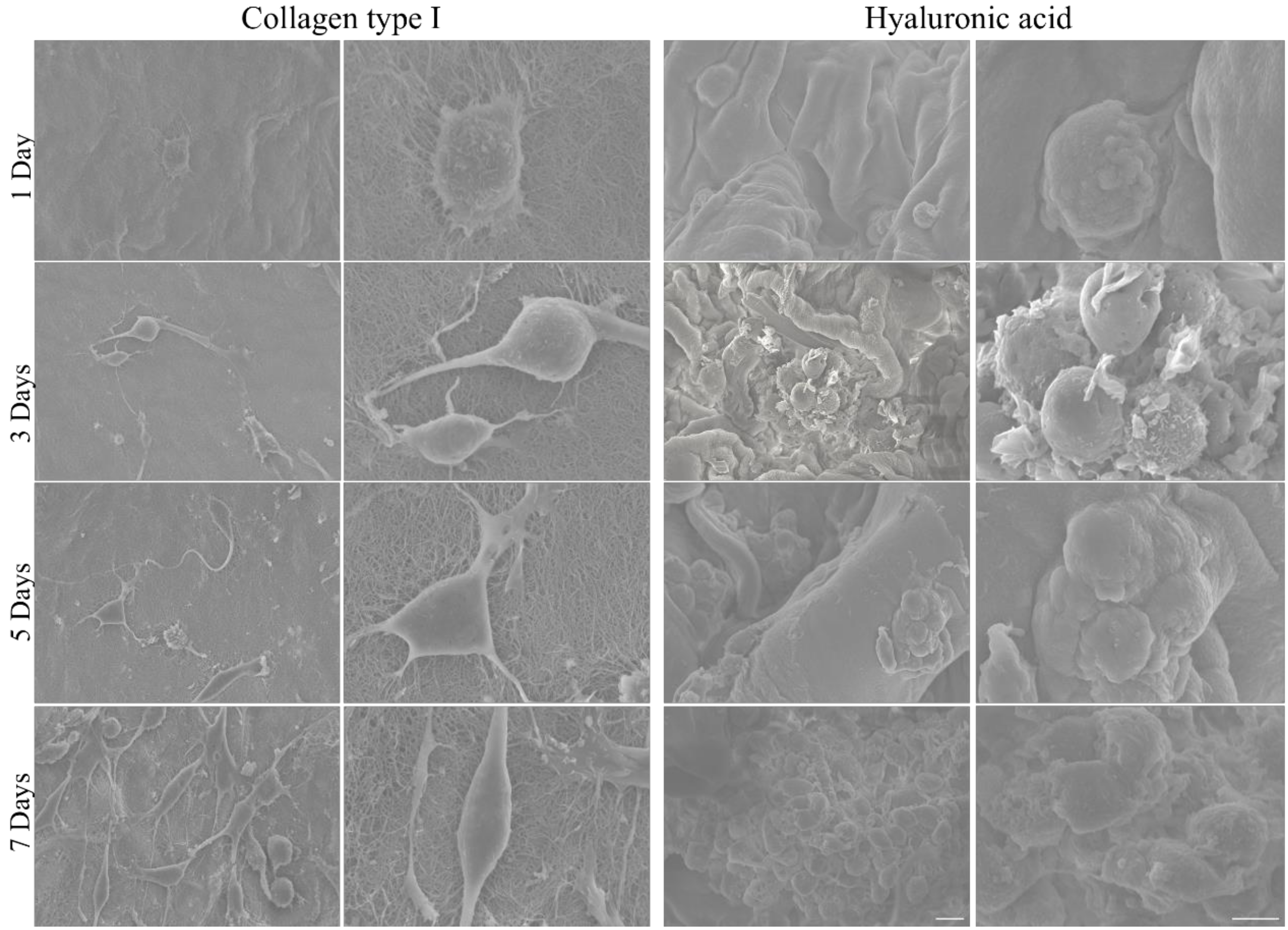 Applsci 10 09076 g008 Applsci 10 09076 g008