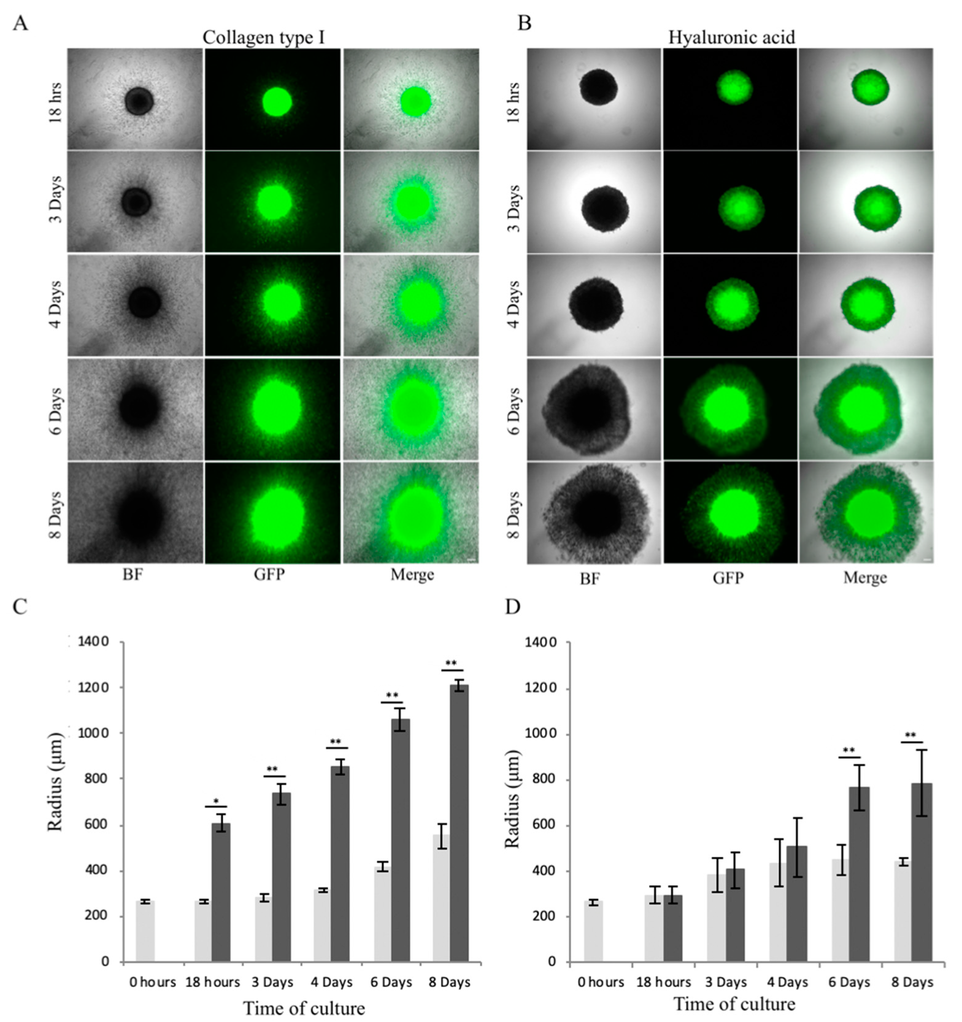 Applsci 10 09076 g009 Applsci 10 09076 g009