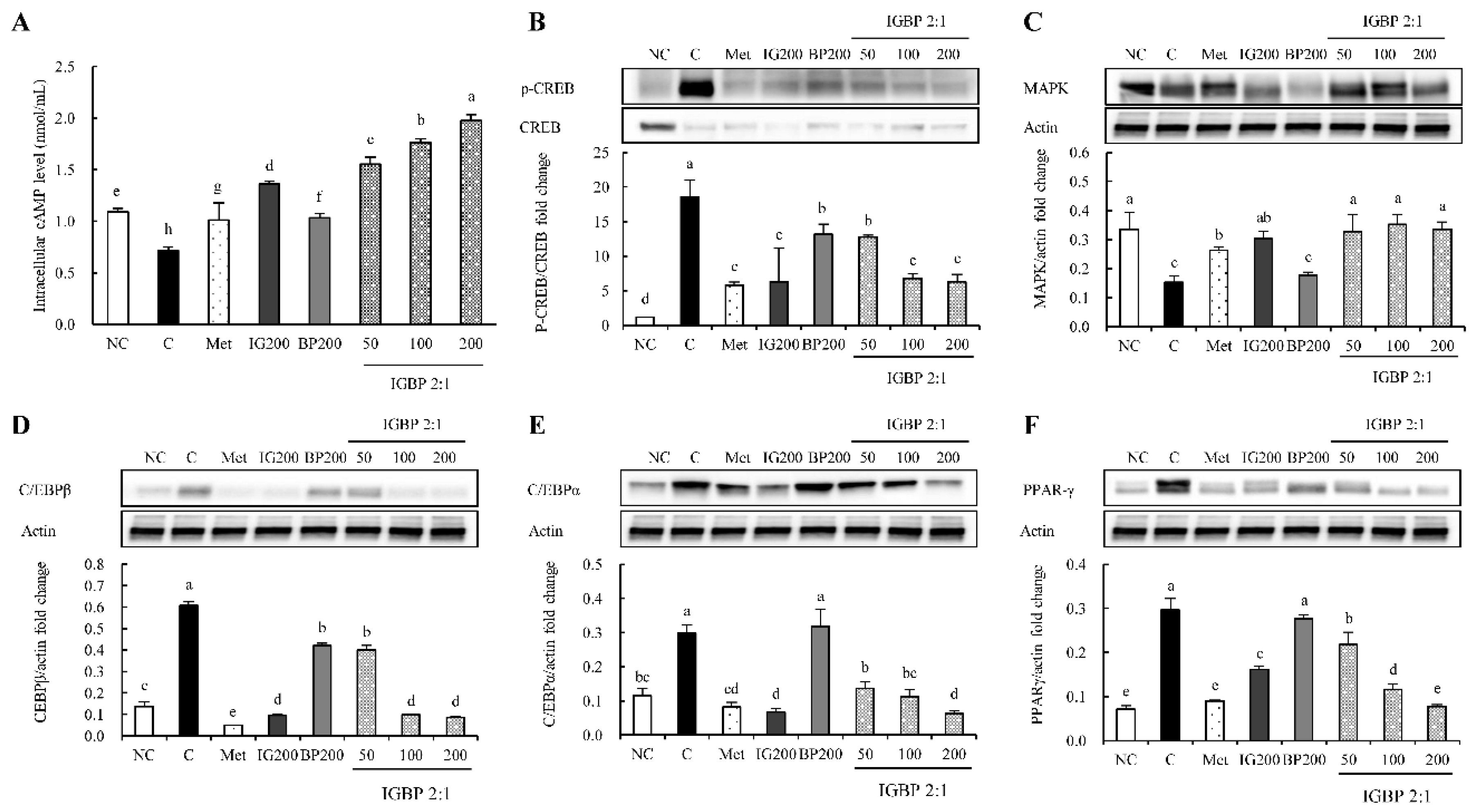 Applsci 10 09078 g001 Applsci 10 09078 g001