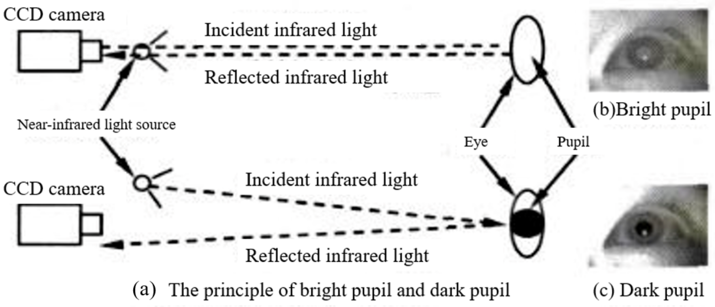 Applsci 10 09079 g001 Applsci 10 09079 g001