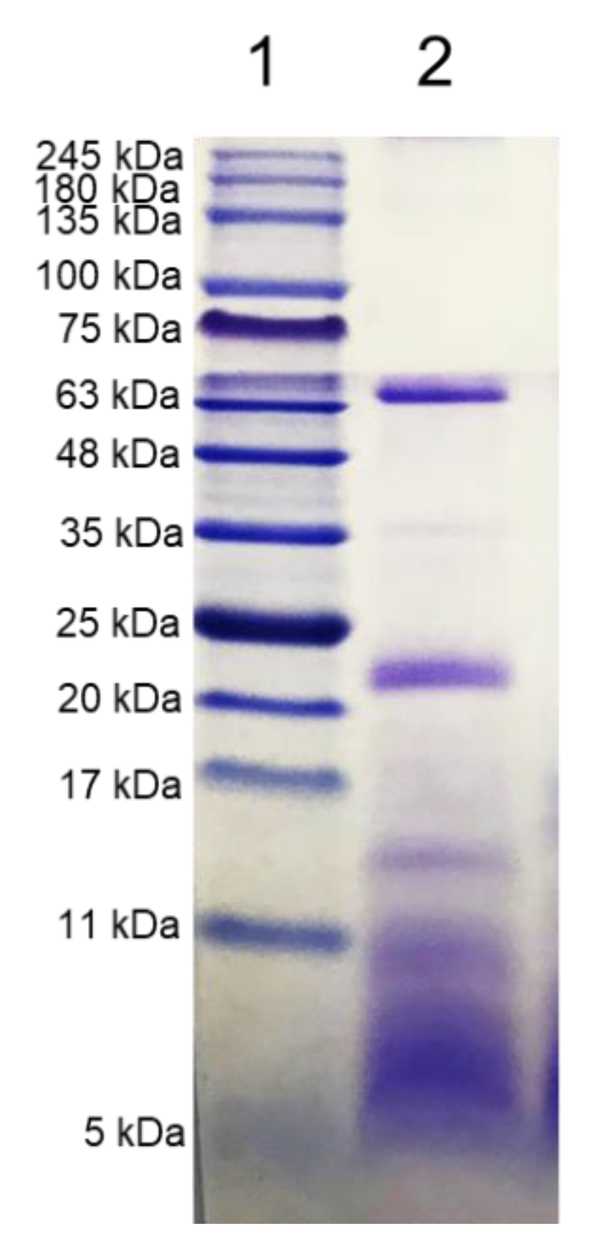 Applsci 10 09087 g002