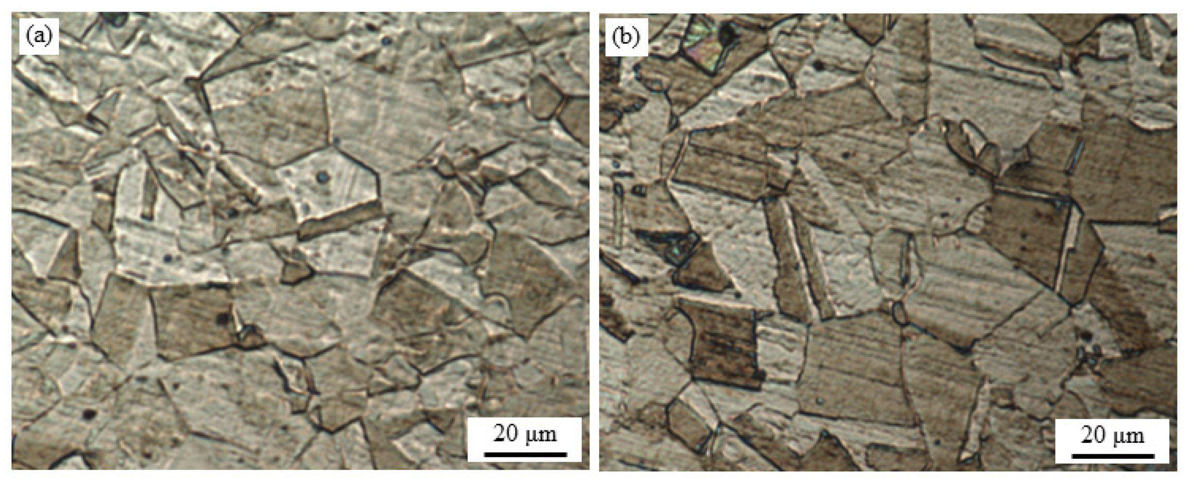 Applsci 10 09104 g002 Applsci 10 09104 g002