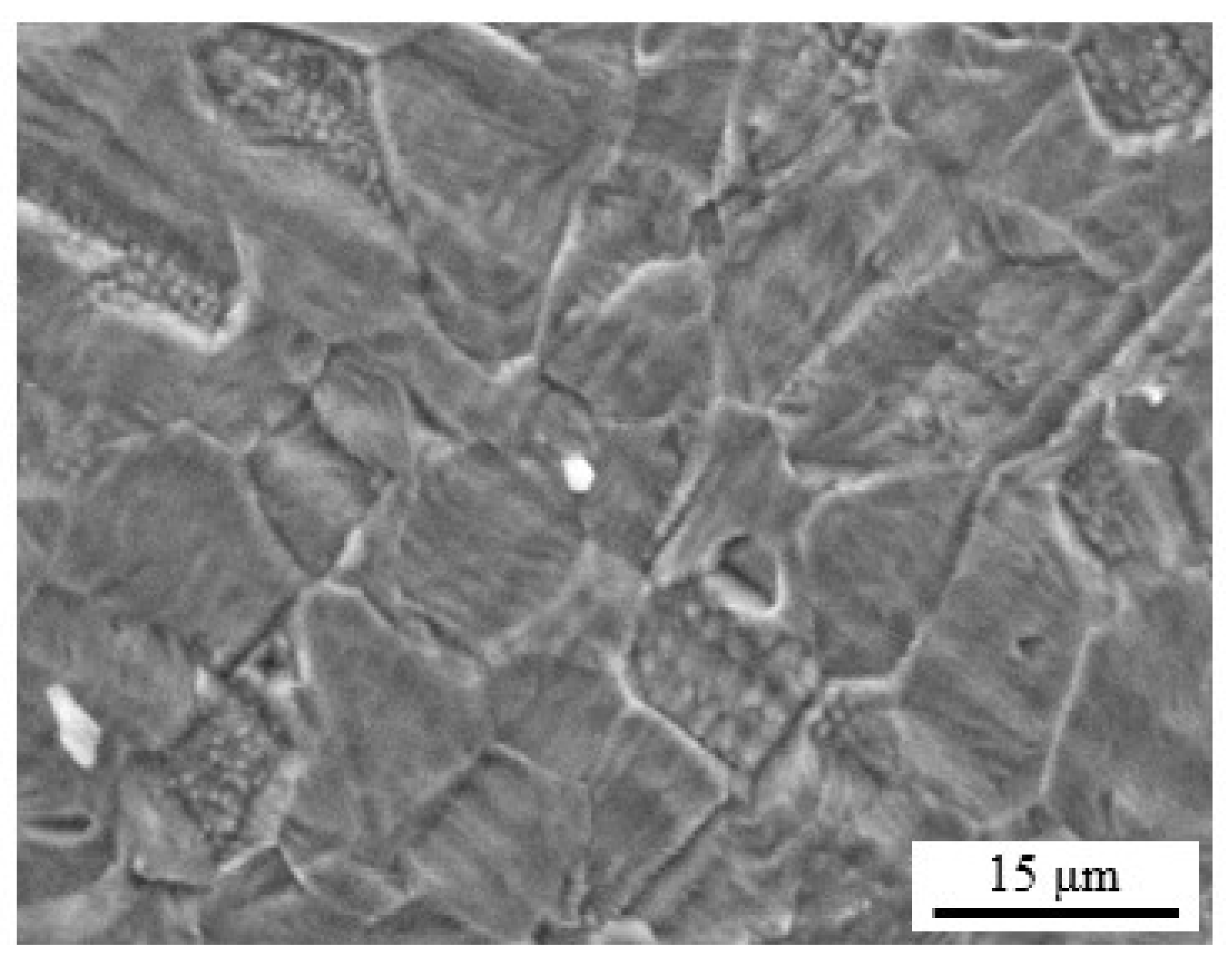 Applsci 10 09104 g003 Applsci 10 09104 g003