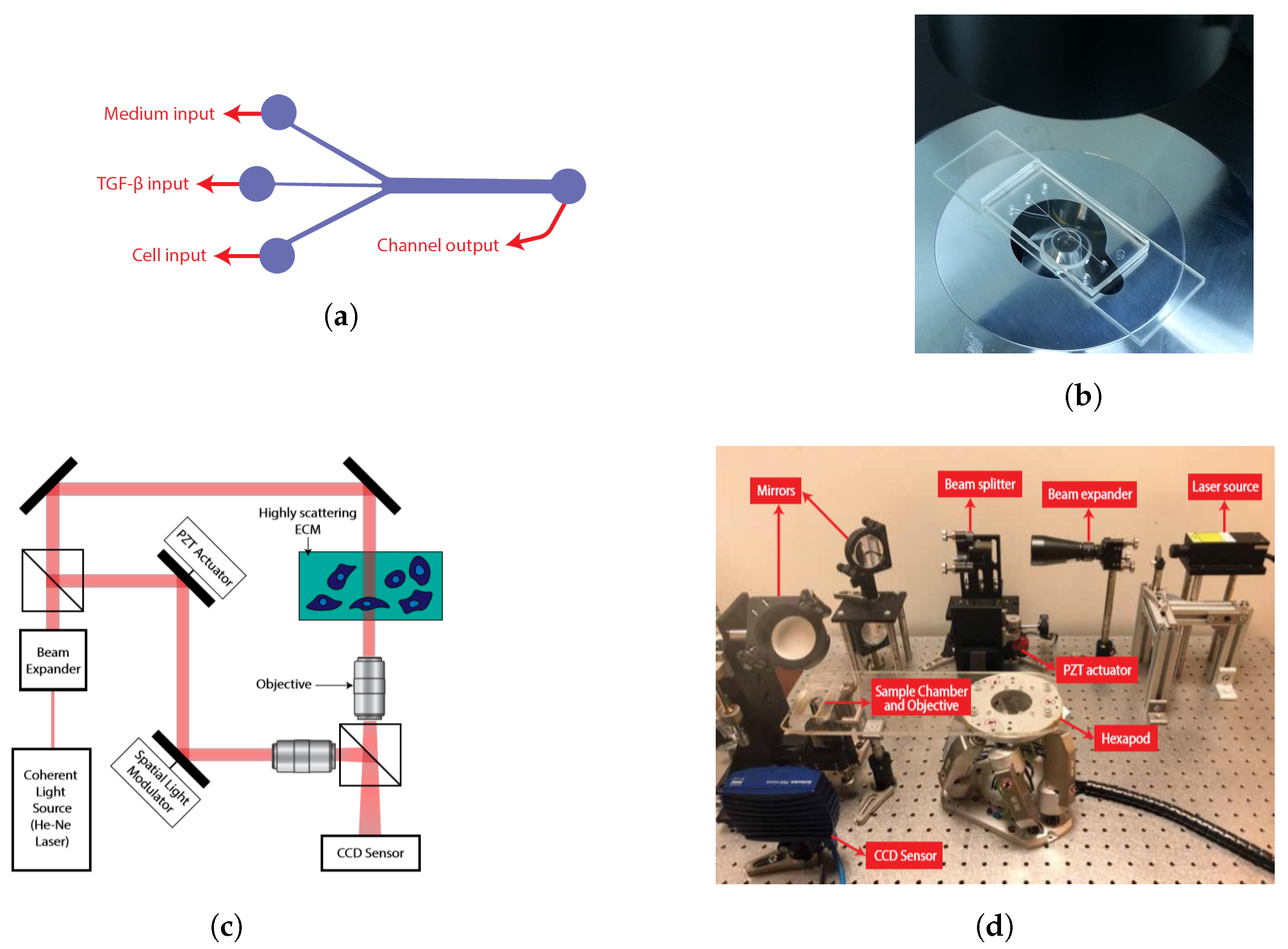 Applsci 10 09107 g001 Applsci 10 09107 g001