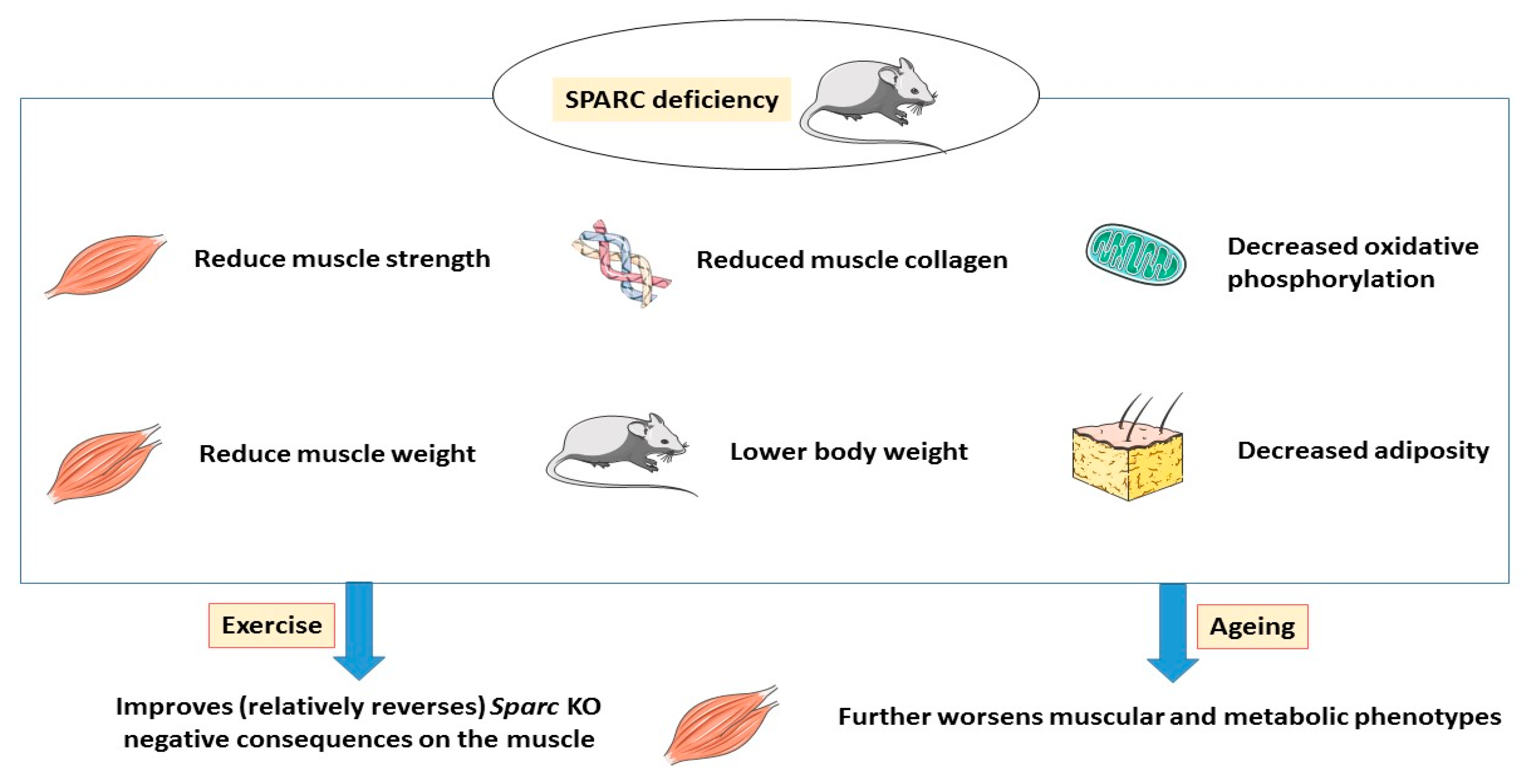 Applsci 10 09108 g002