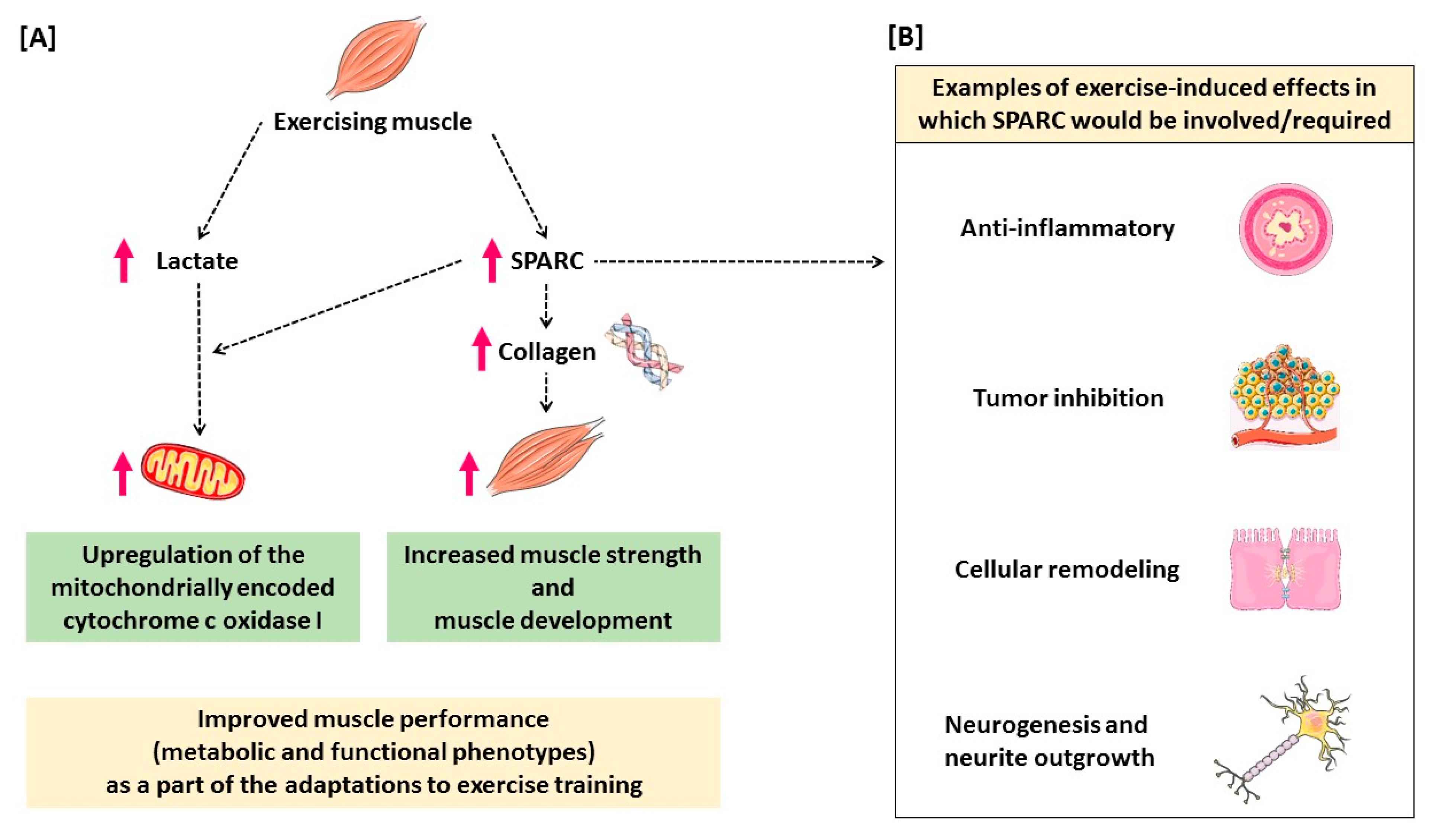 Applsci 10 09108 g003