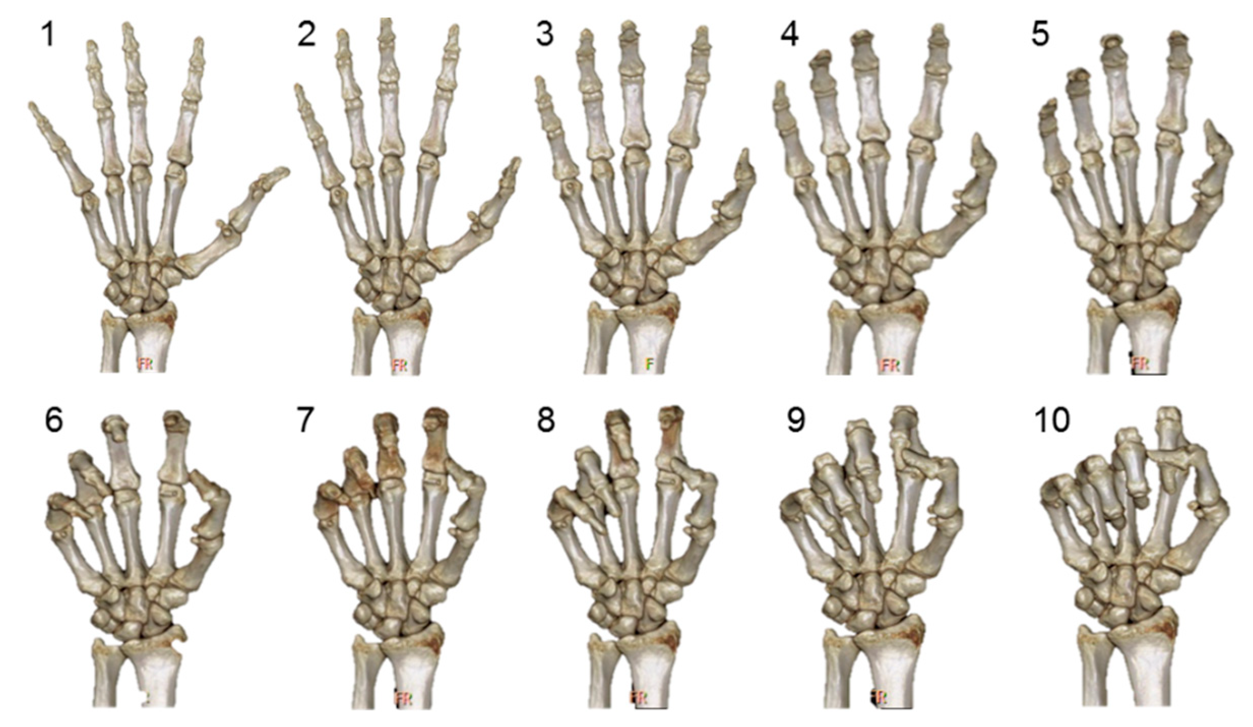 Applsci 10 09129 g002