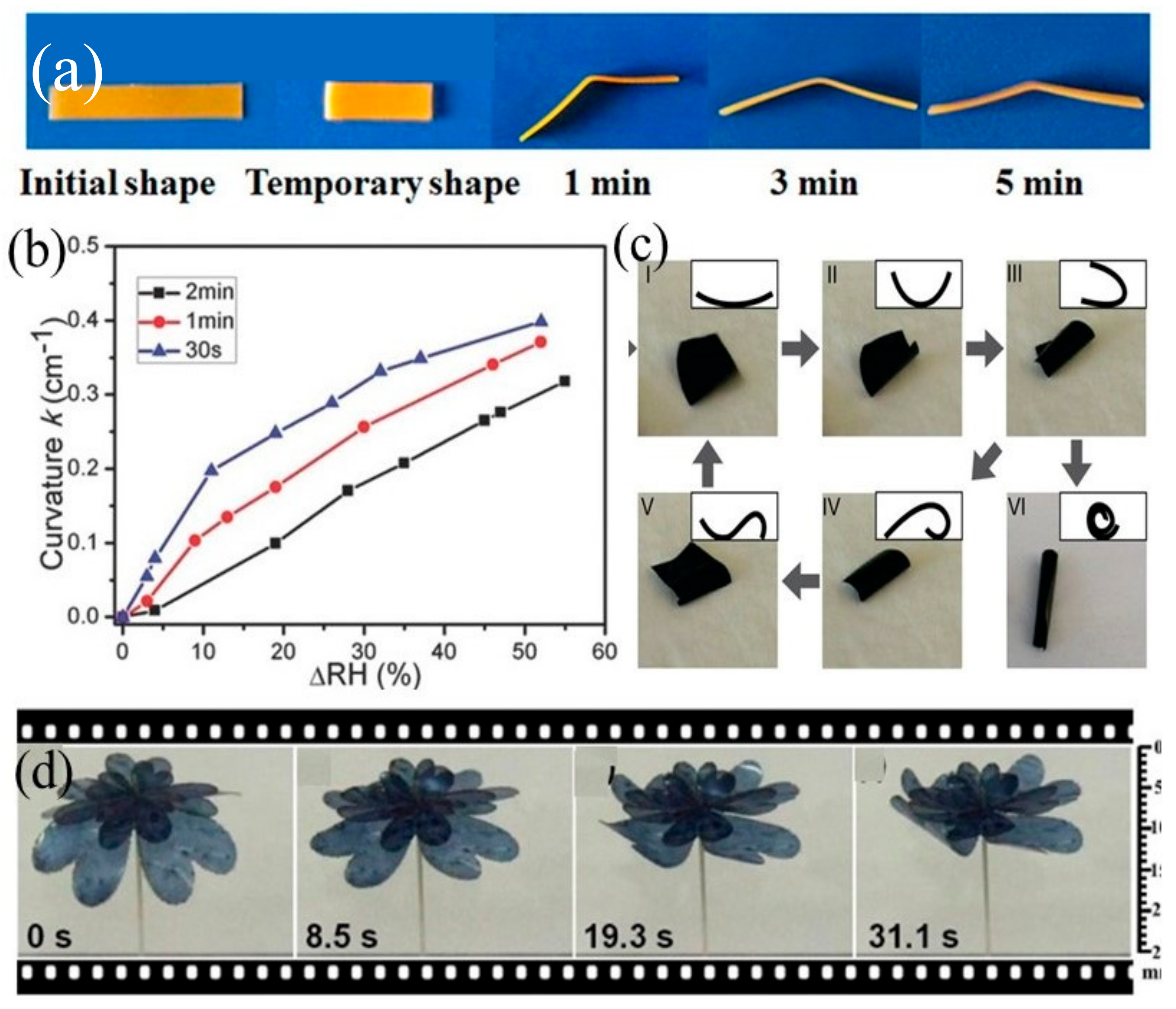 Applsci 10 09143 g003 Applsci 10 09143 g003