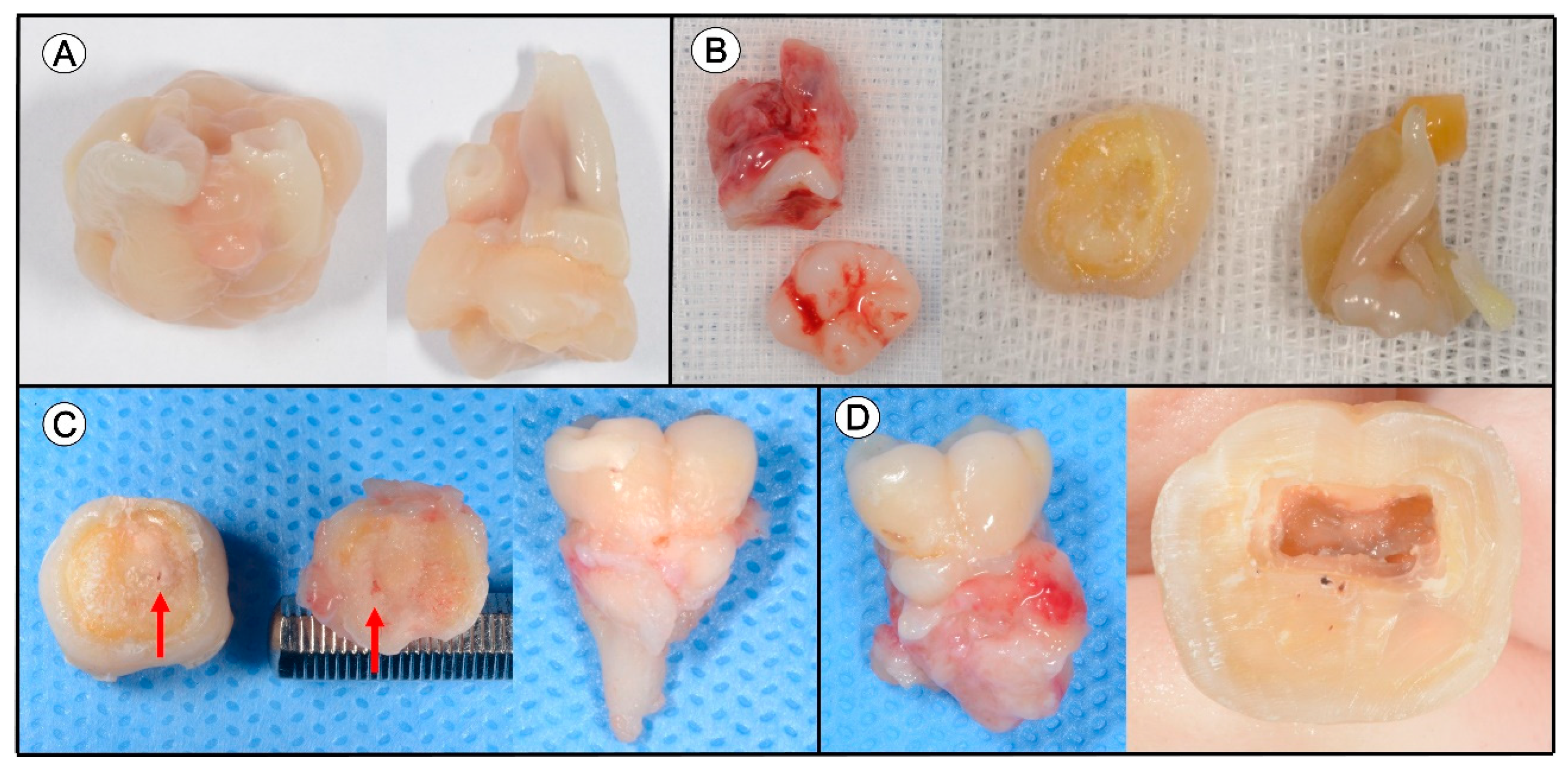 Applsci 11 00004 g003