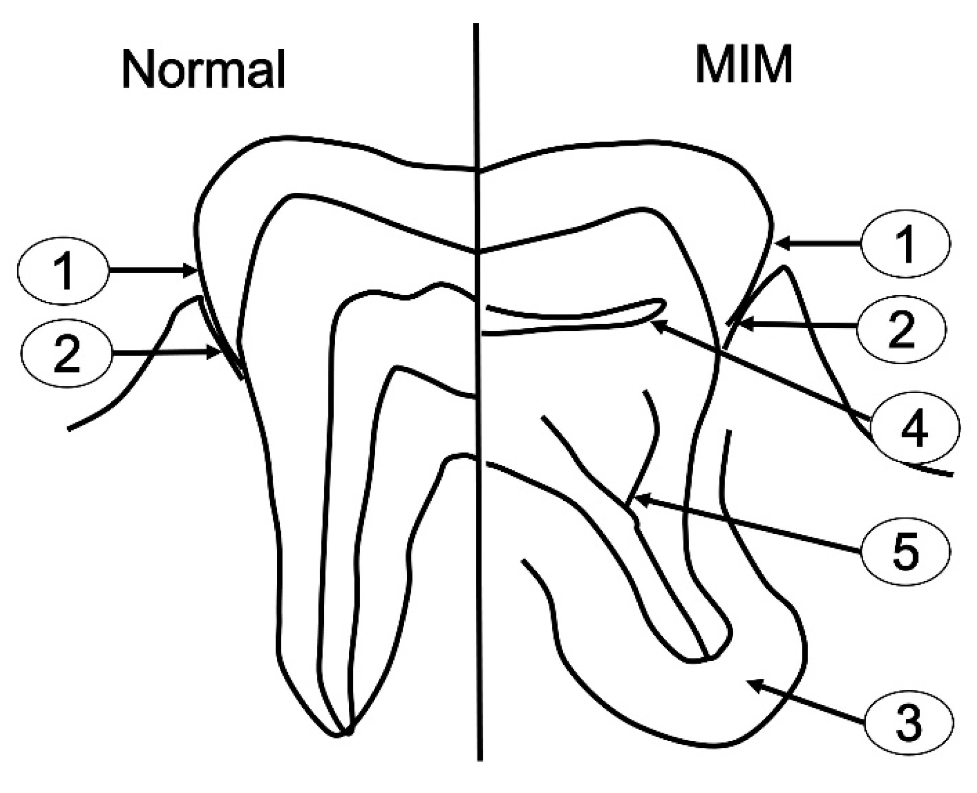 Applsci 11 00004 g004