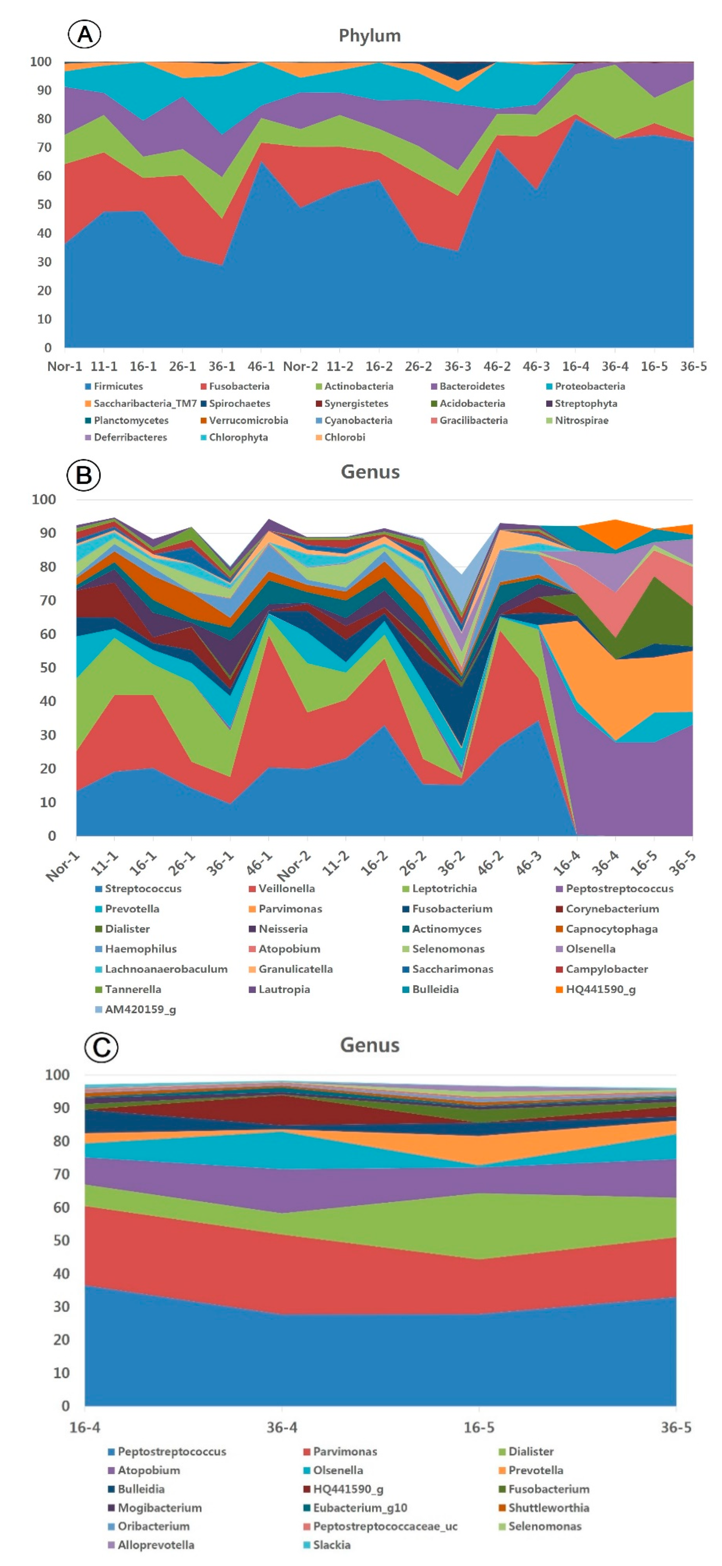 Applsci 11 00004 g005