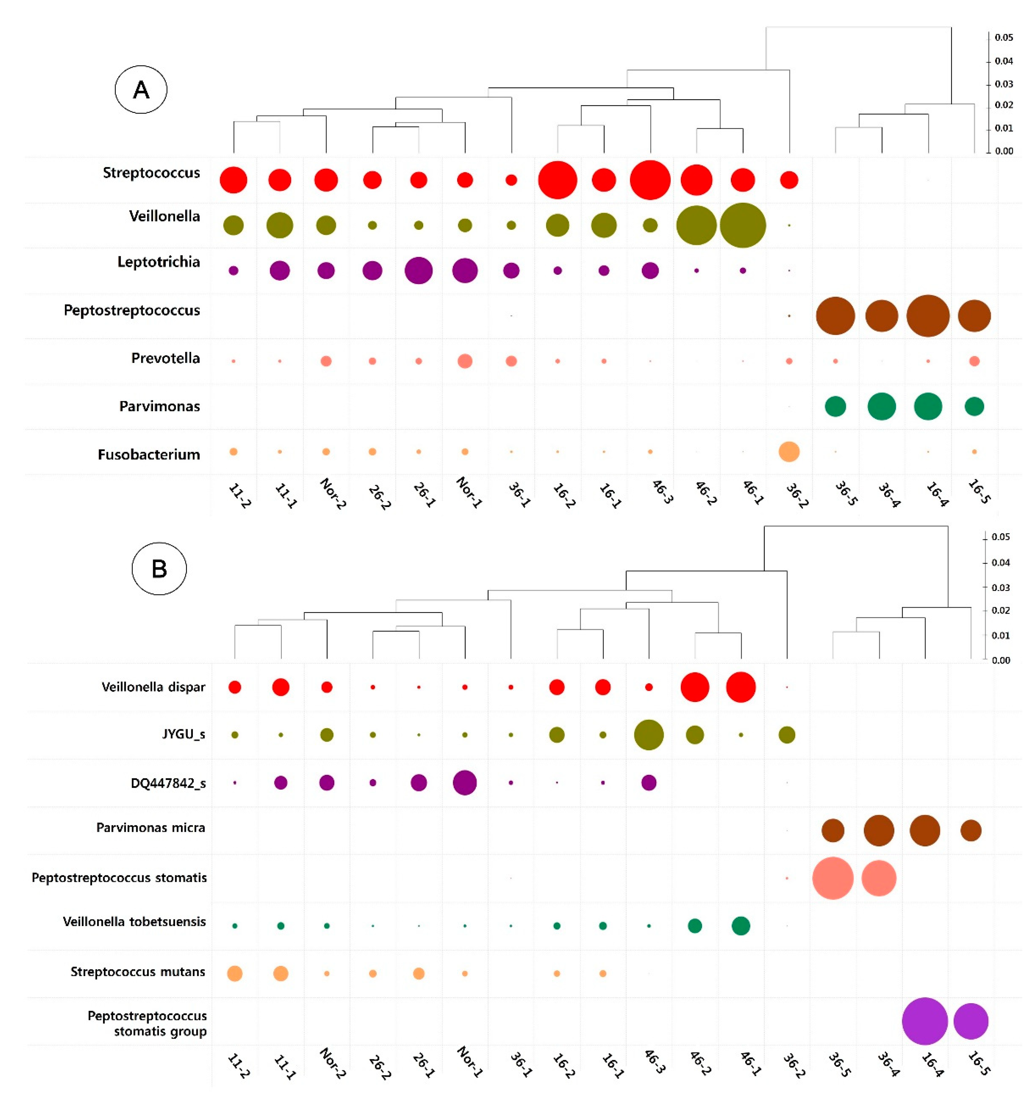 Applsci 11 00004 g006
