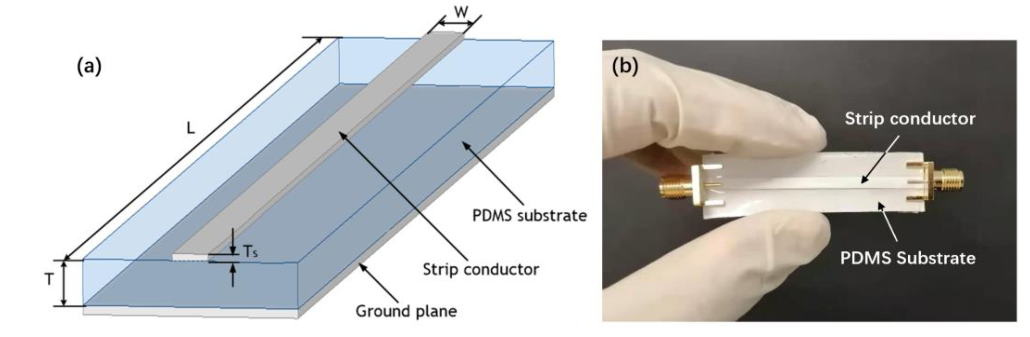 Applsci 11 00005 g001