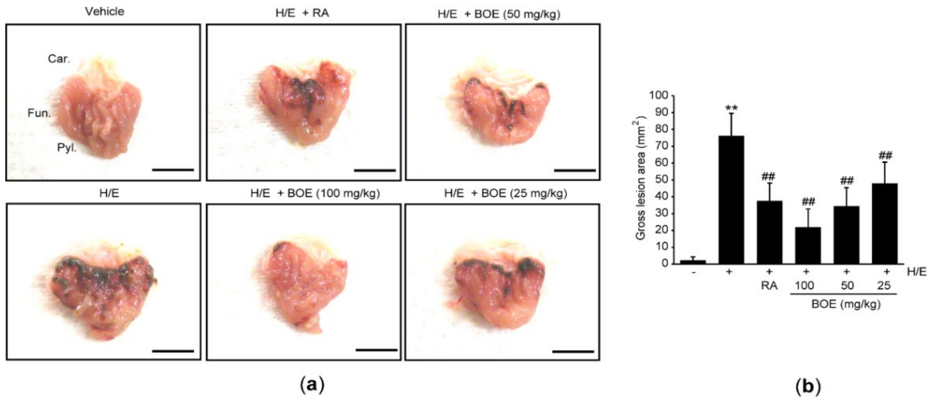 Applsci 11 00016 g002 Applsci 11 00016 g002