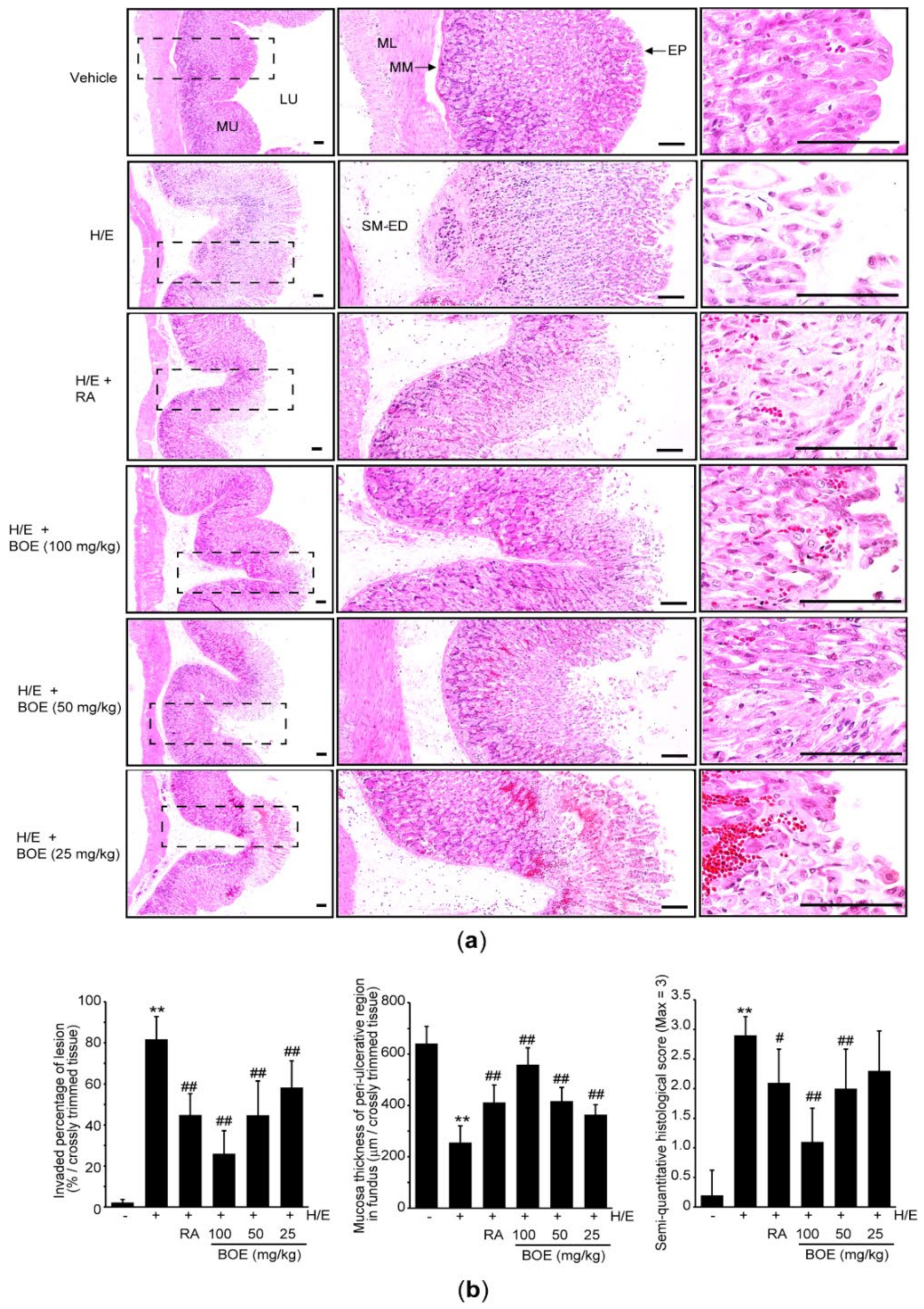 Applsci 11 00016 g003 Applsci 11 00016 g003