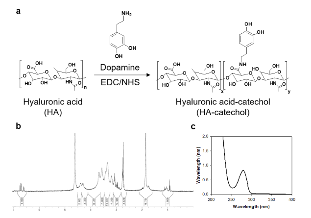 Applsci 11 00021 g001 Applsci 11 00021 g001
