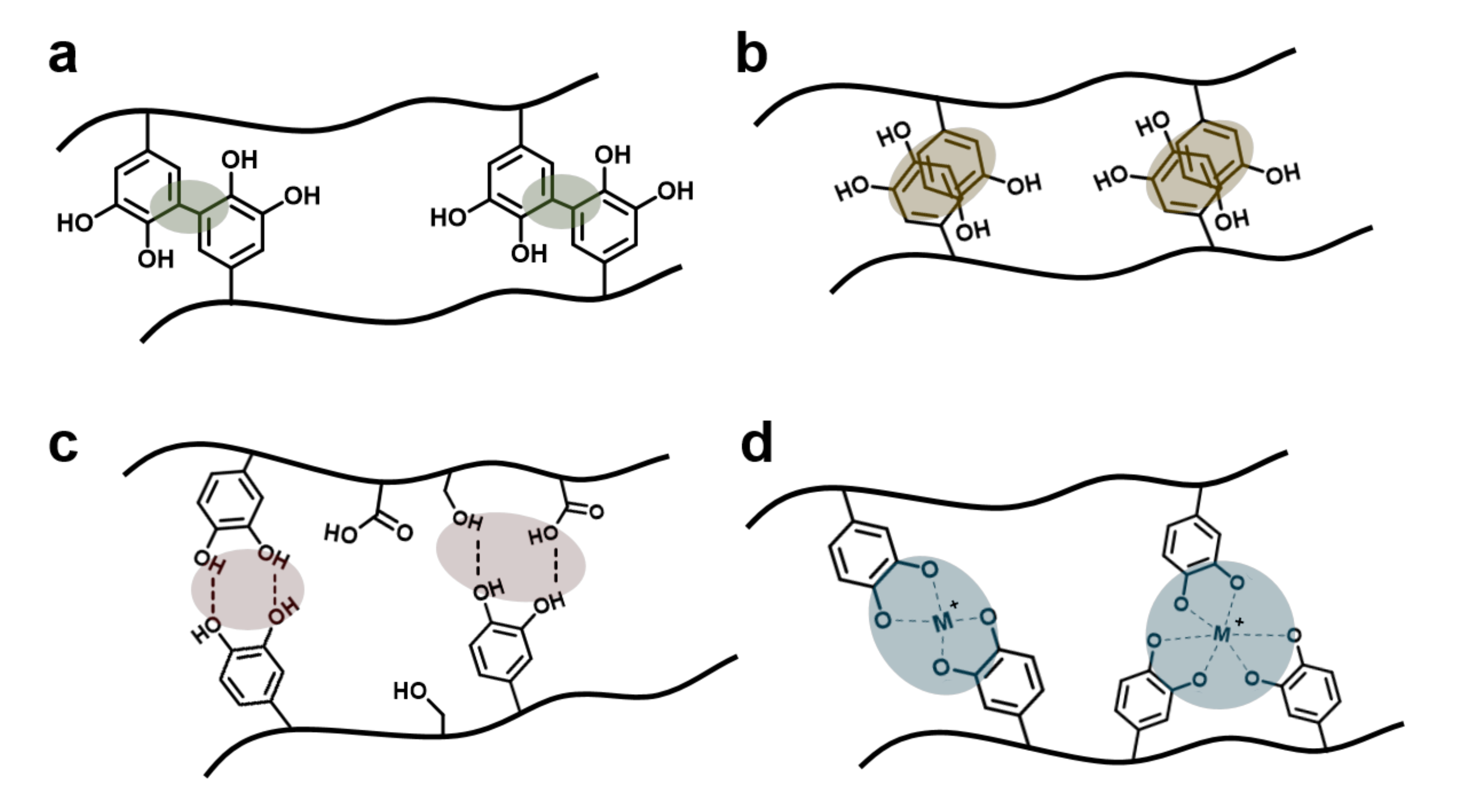 Applsci 11 00021 g003 Applsci 11 00021 g003