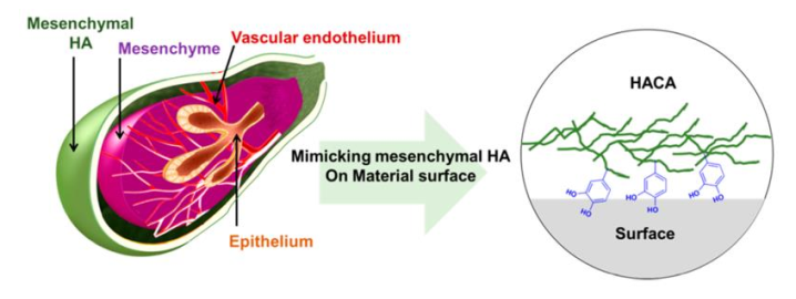 Applsci 11 00021 g007 Applsci 11 00021 g007