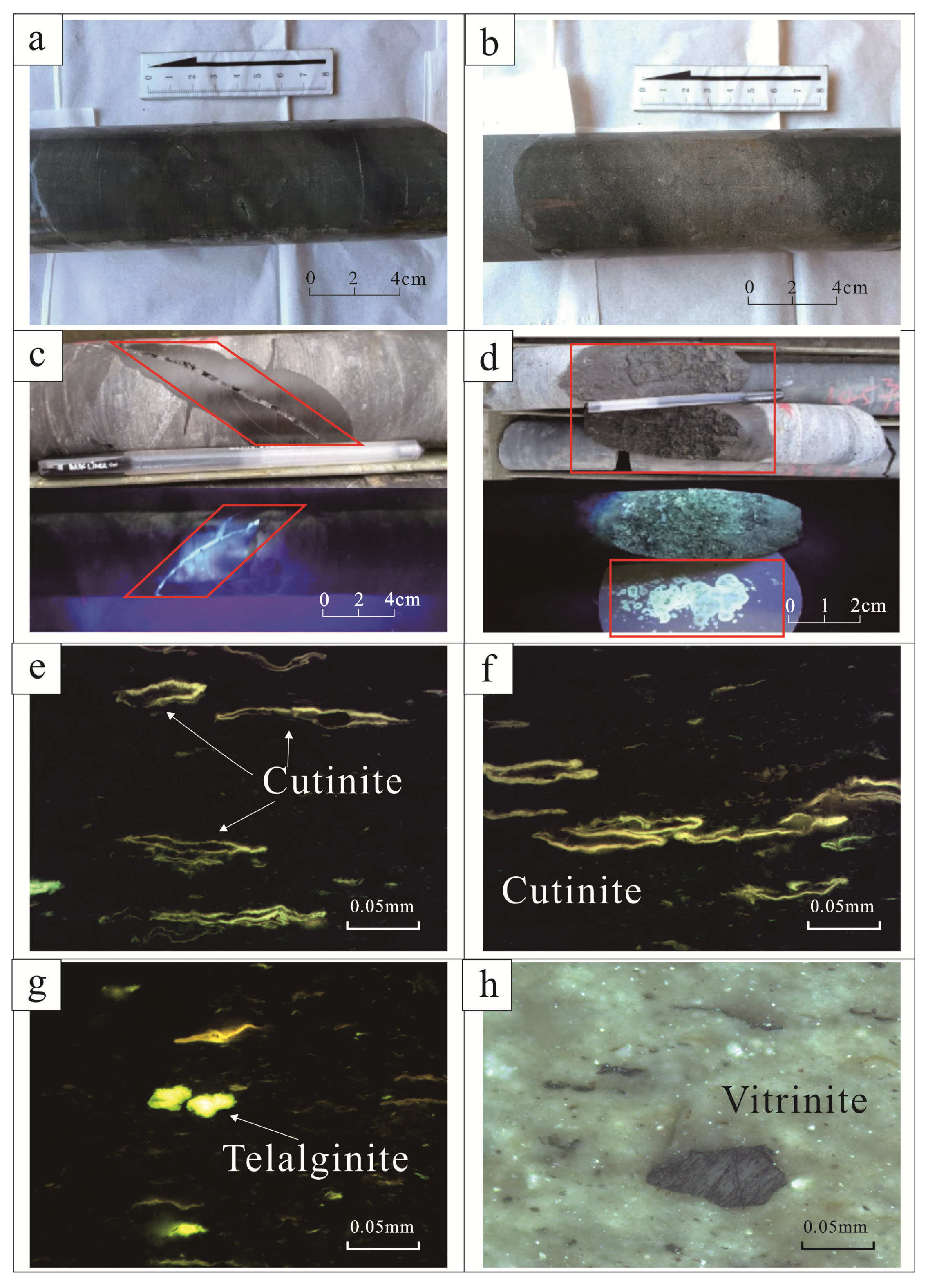 Applsci 11 00023 g004 Applsci 11 00023 g004