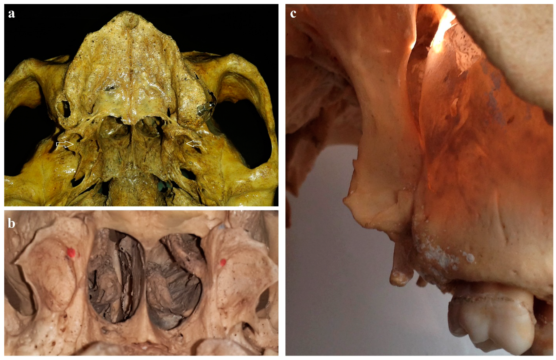 Applsci 11 00030 g001 Applsci 11 00030 g001