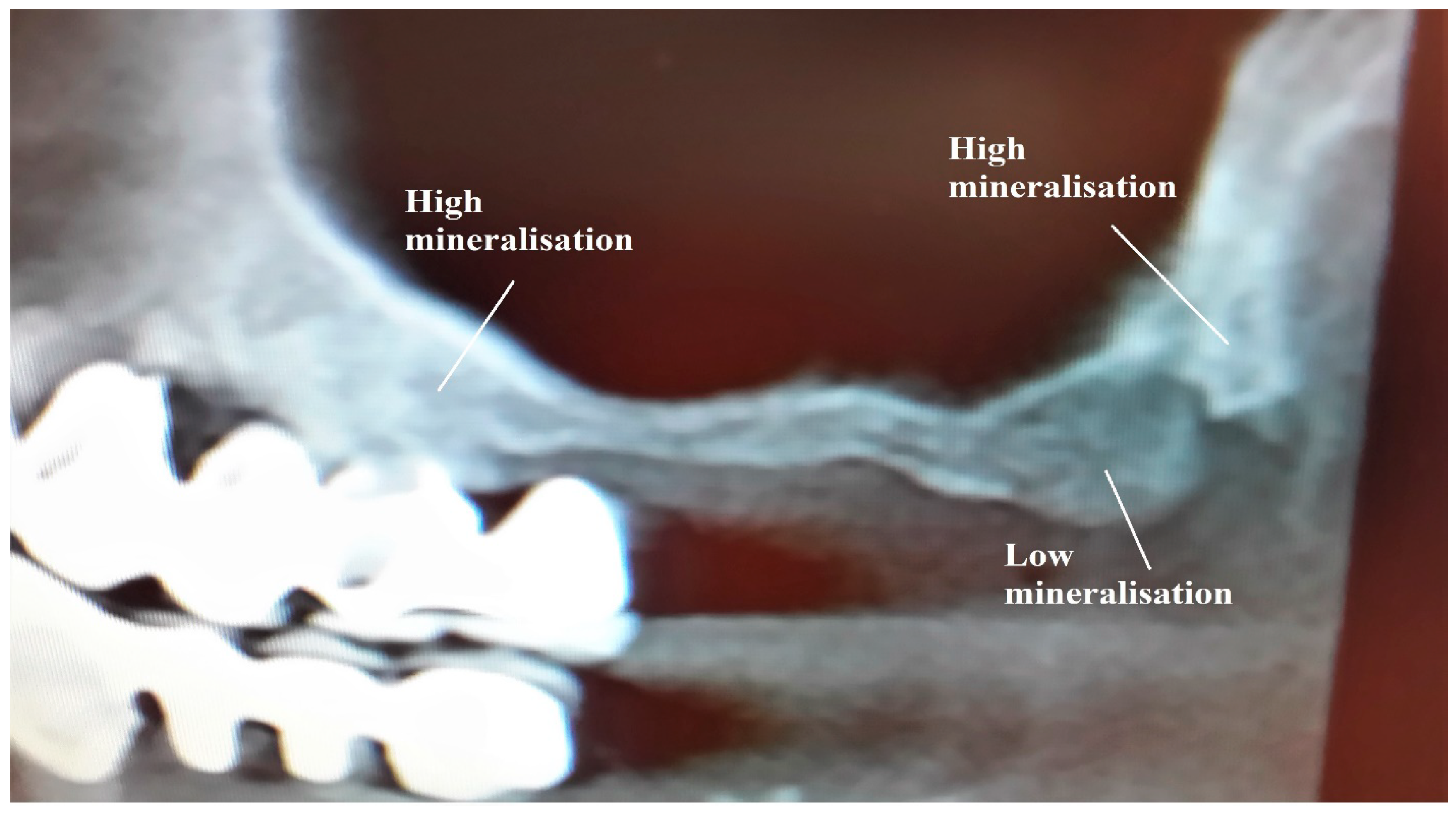 Applsci 11 00030 g002 Applsci 11 00030 g002