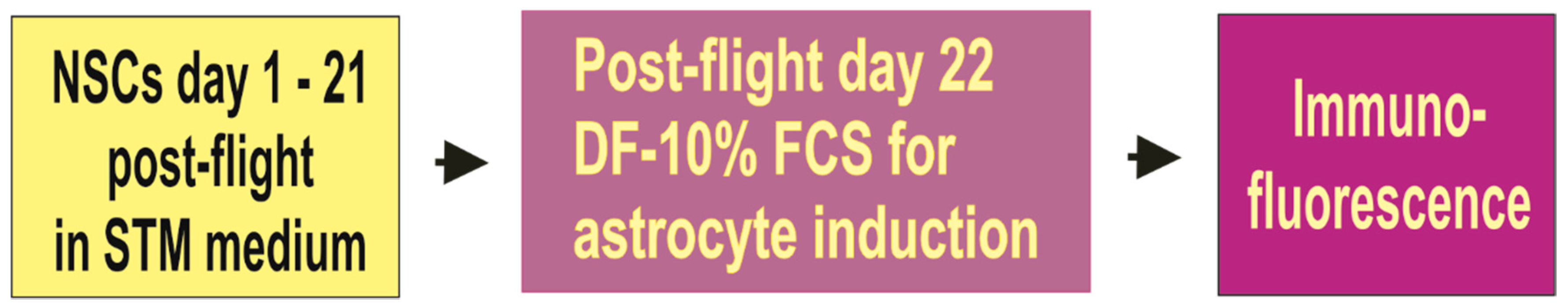 Applsci 11 00041 g002