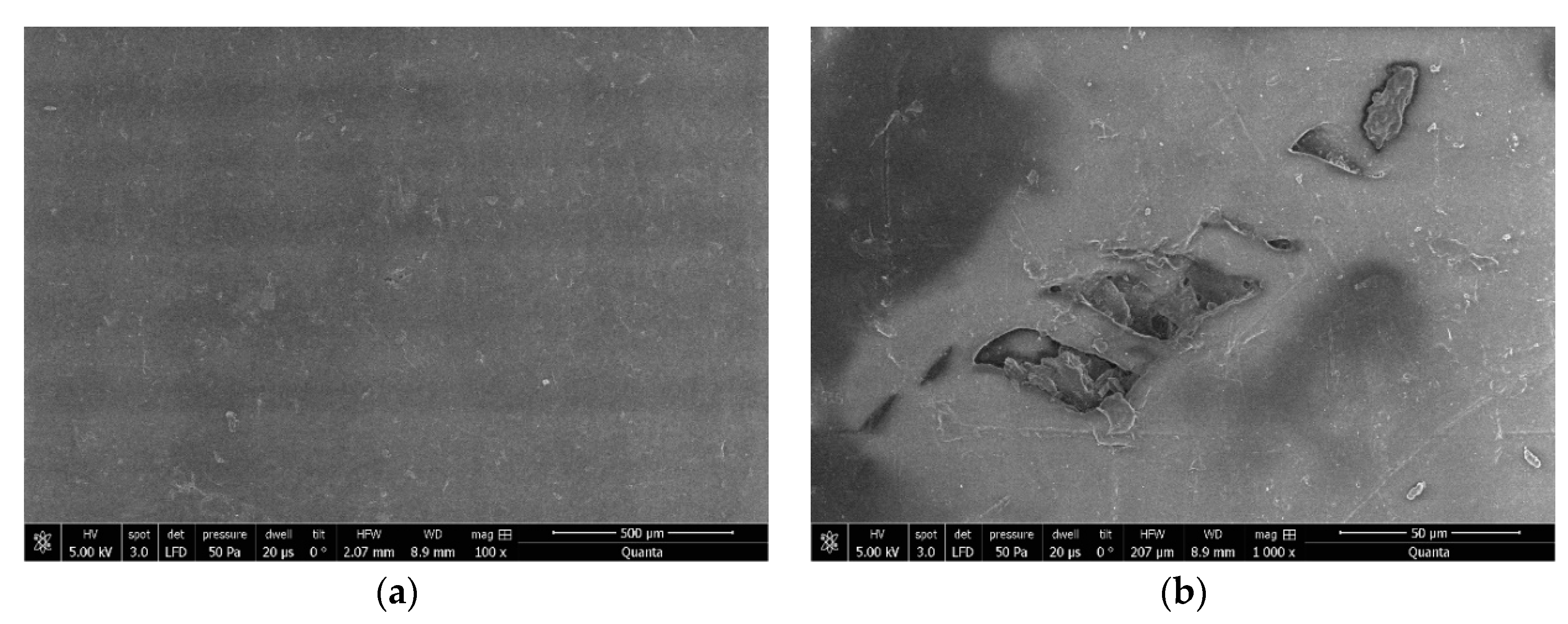 Applsci 11 00044 g011