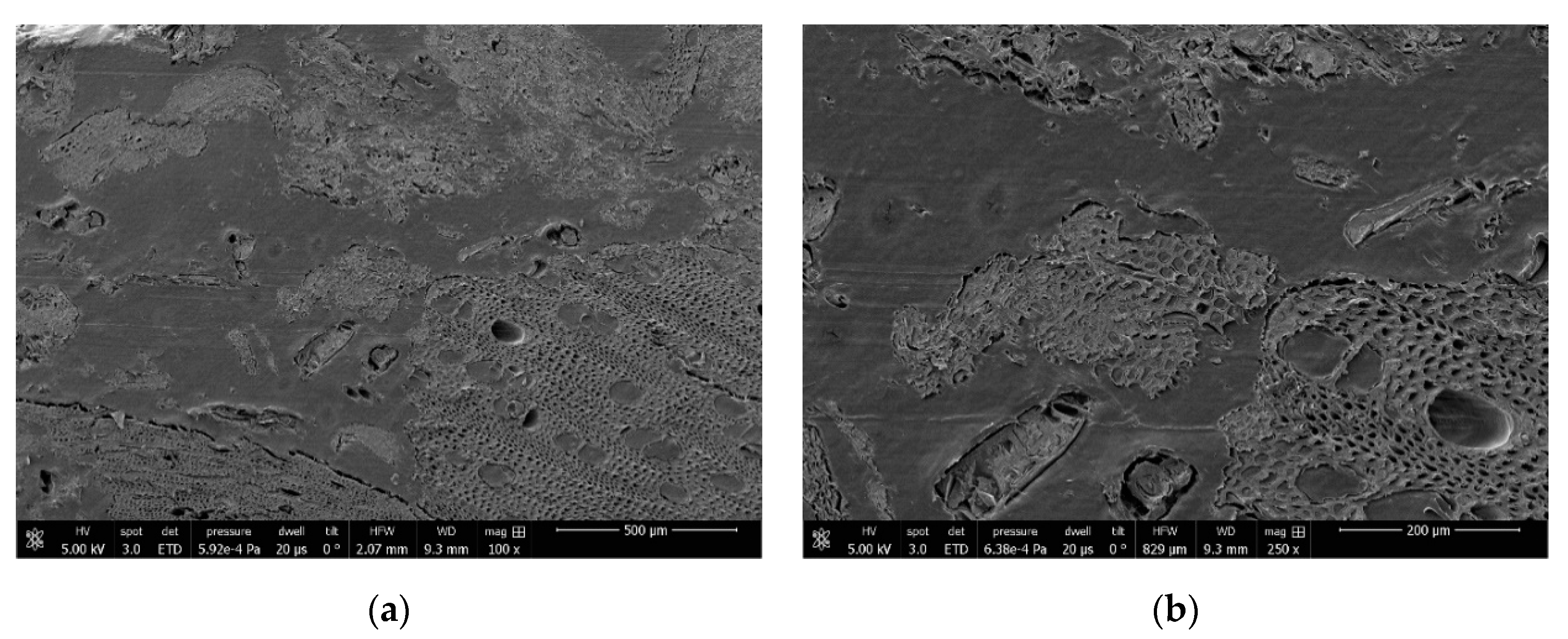 Applsci 11 00044 g013