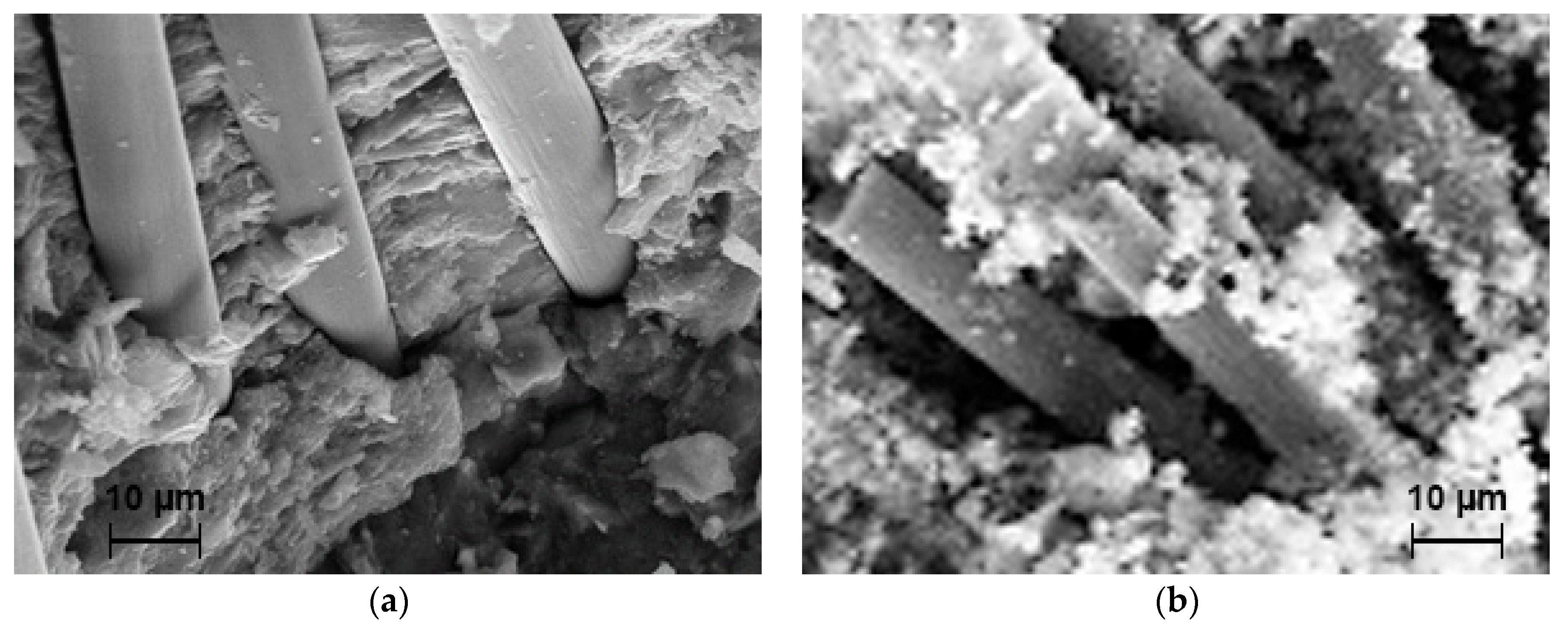 Applsci 11 00050 g007 Applsci 11 00050 g007