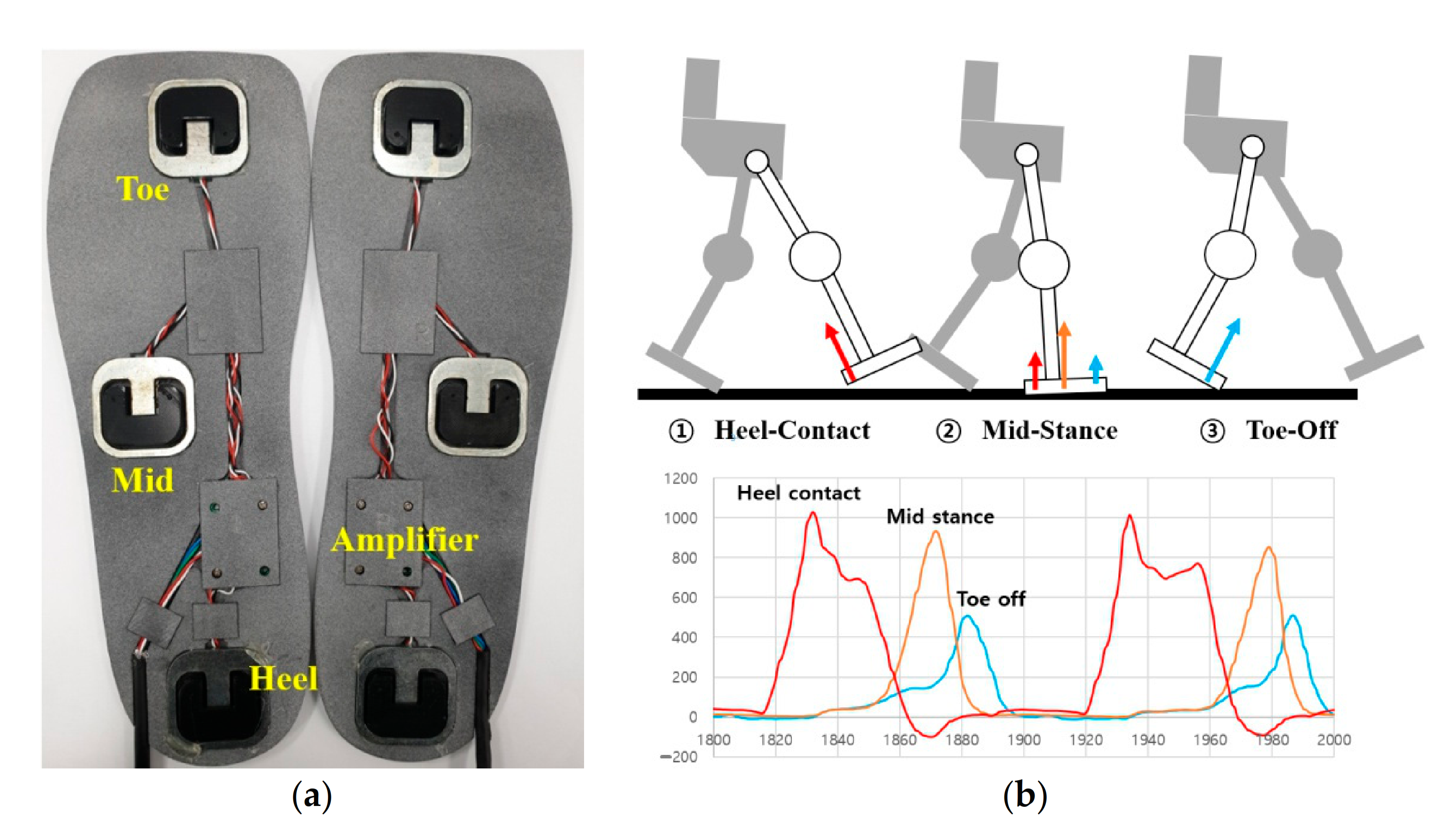 Applsci 11 00058 g005