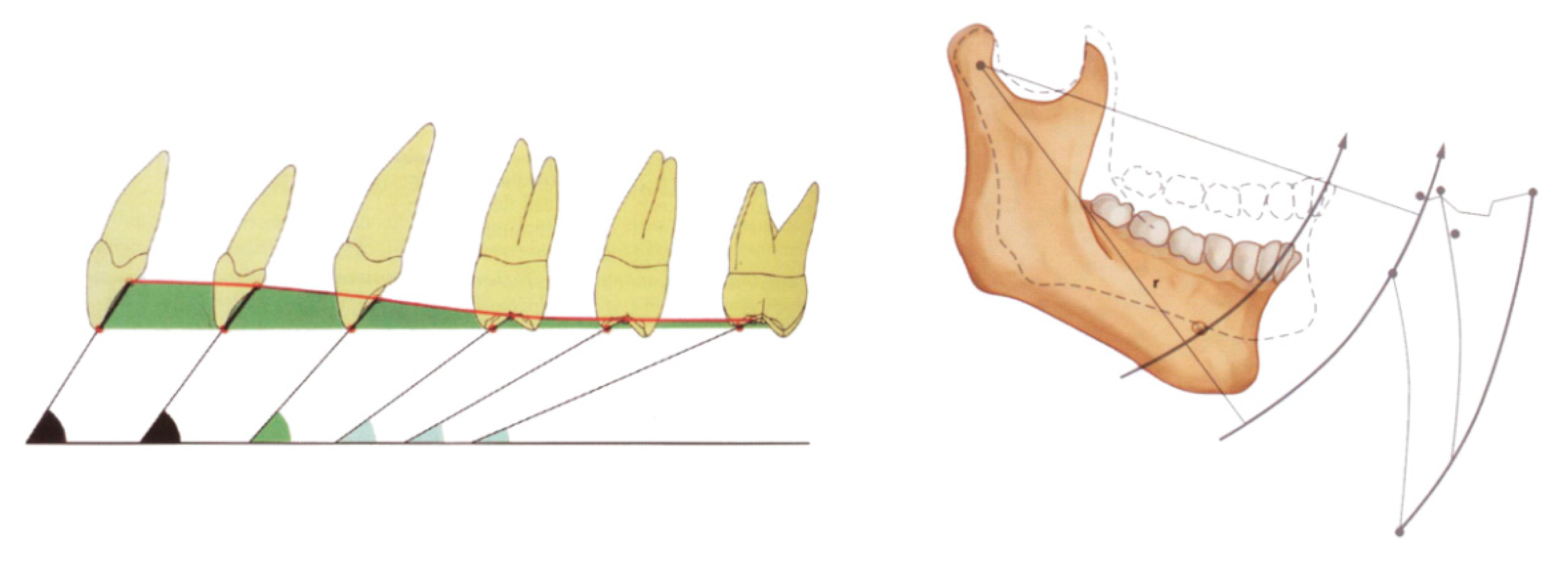 Applsci 11 00060 g002