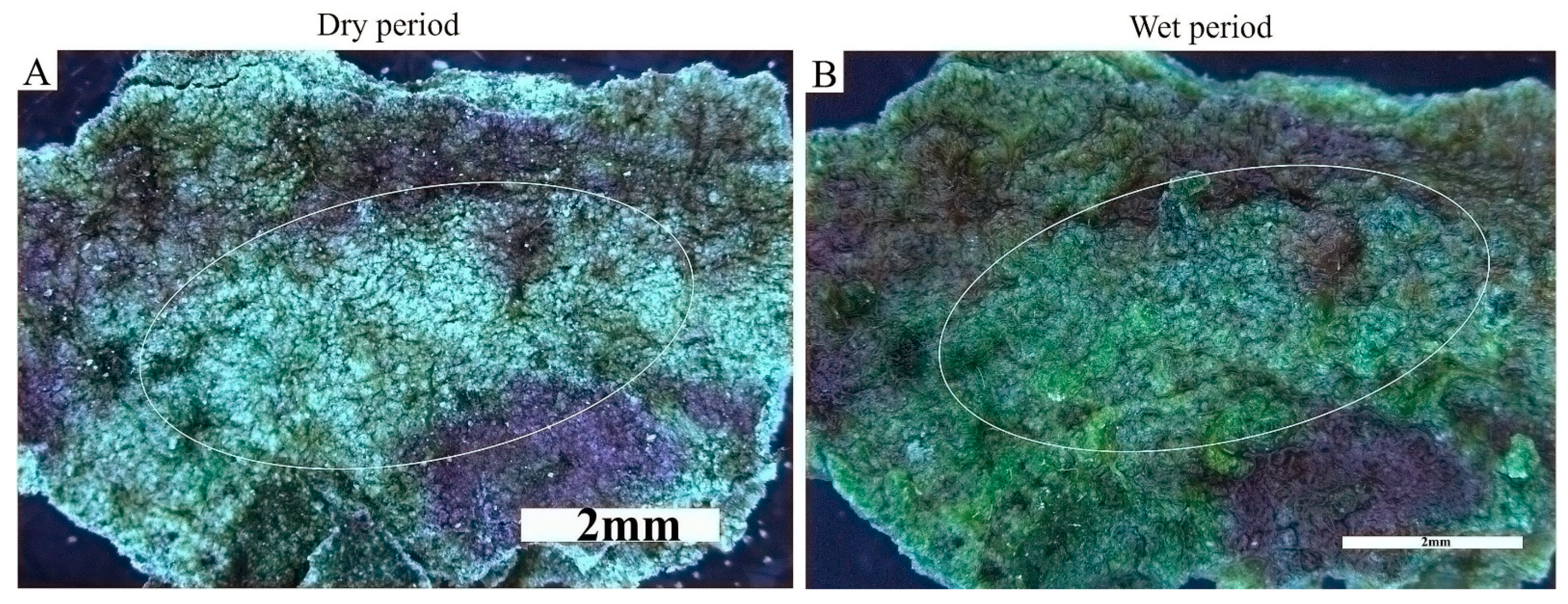 Applsci 11 00066 g005