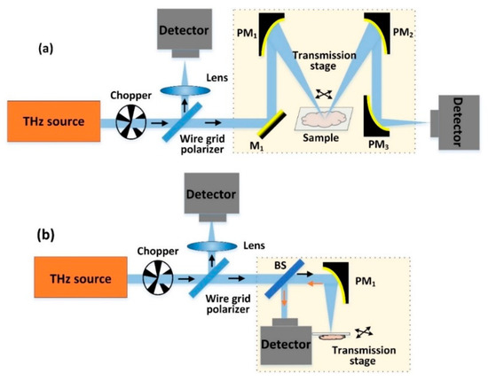 Continuous-Wave THz Imaging for Biomedical Samples