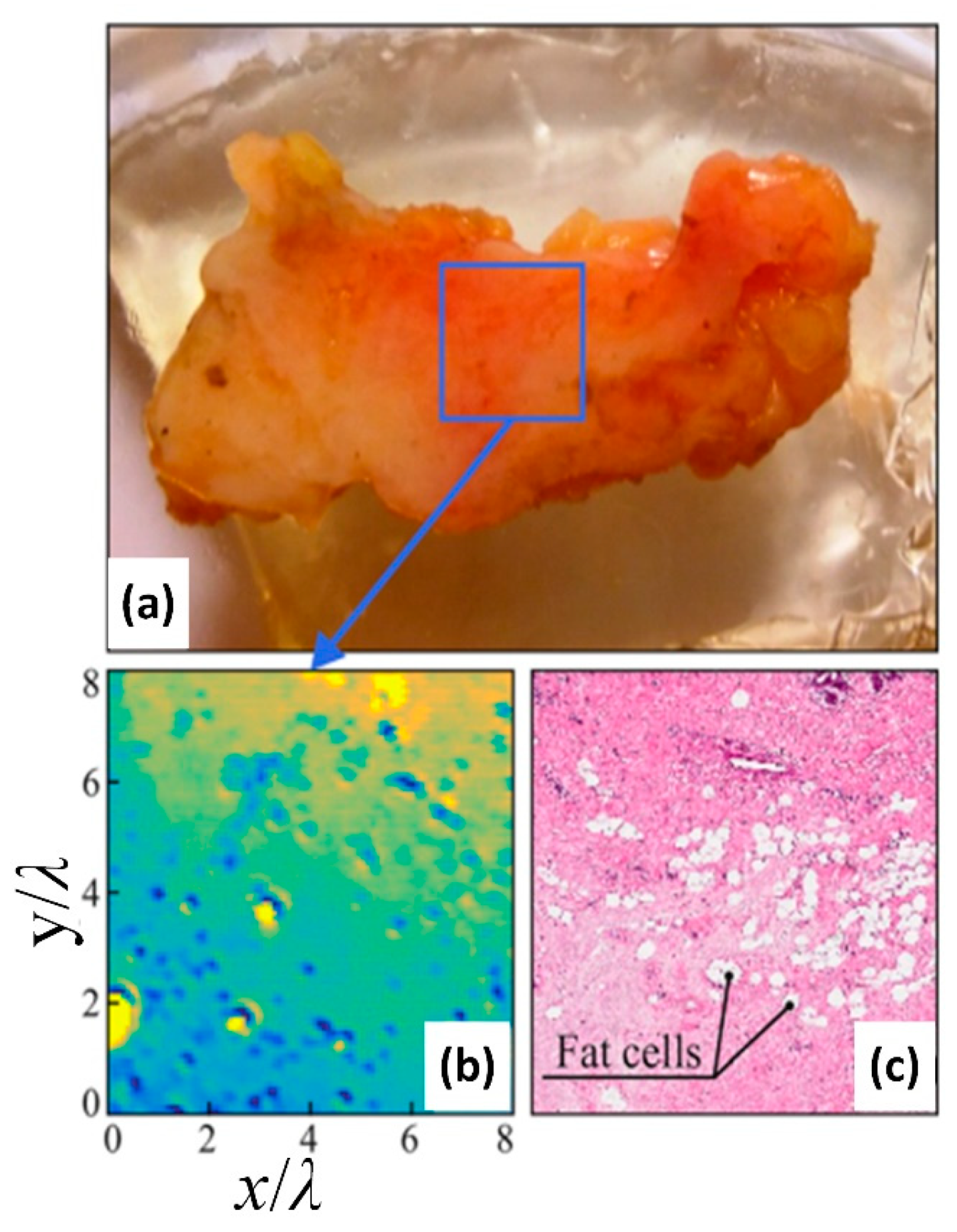Applsci 11 00071 g013