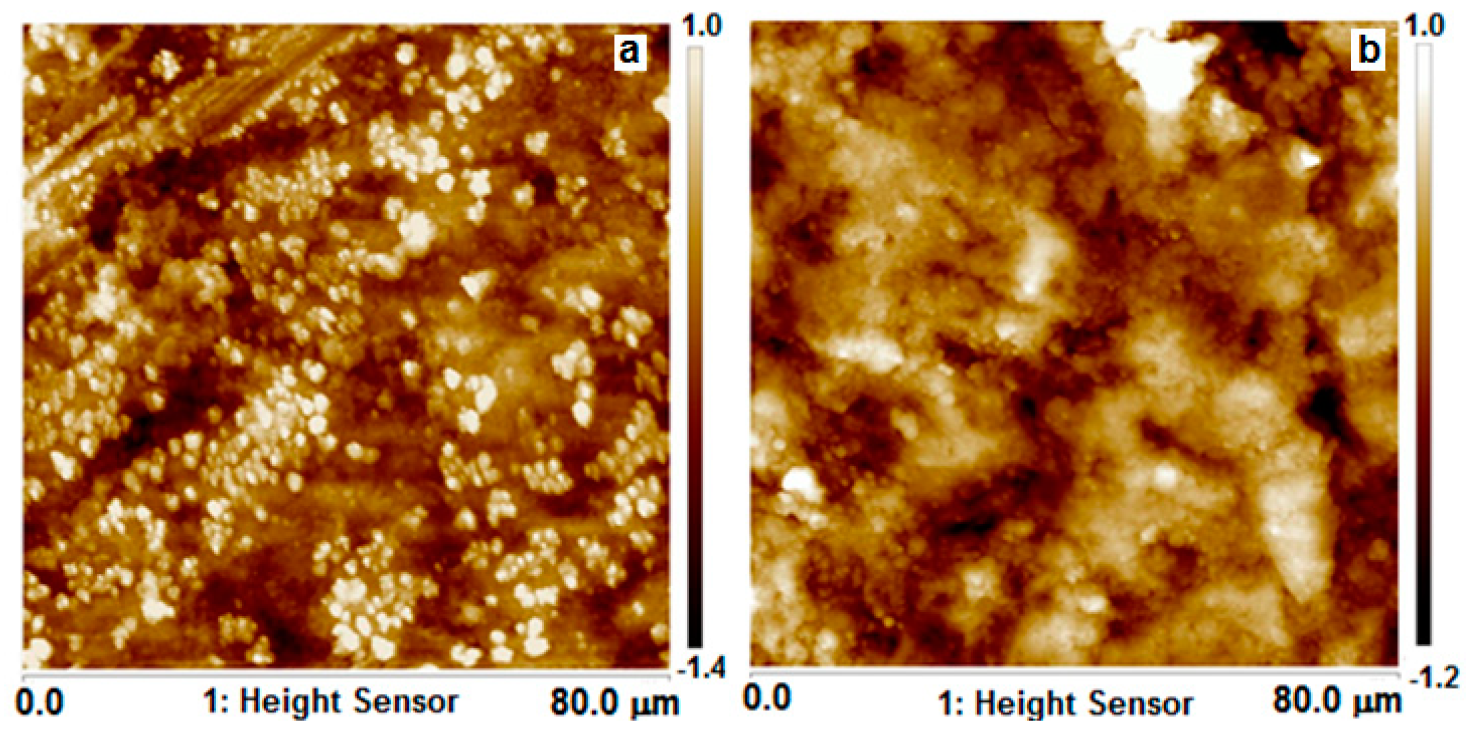 Applsci 11 00093 g006 Applsci 11 00093 g006