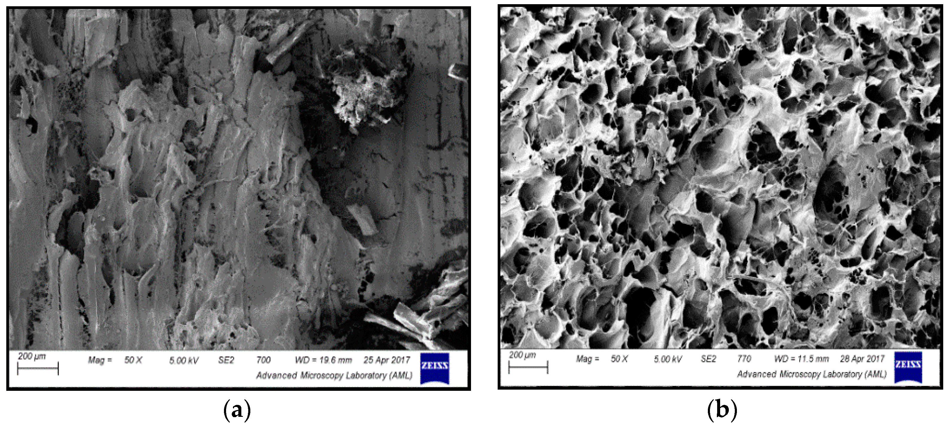 Applsci 11 00117 g002 Applsci 11 00117 g002