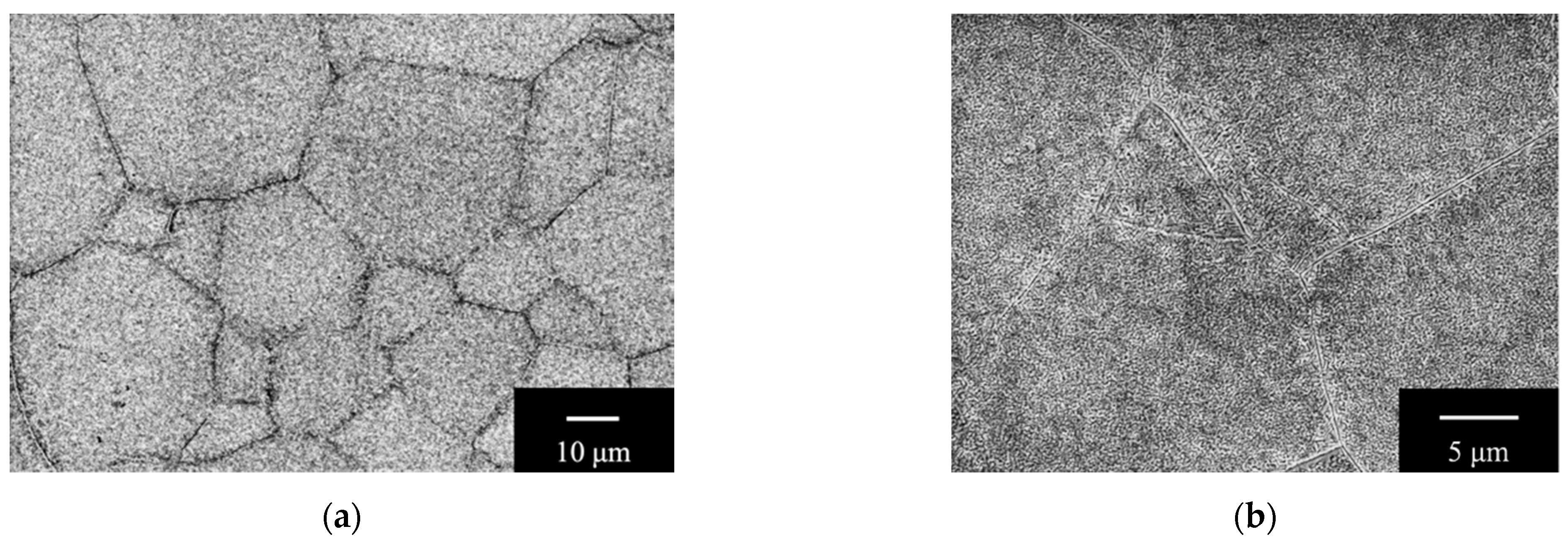 Applsci 11 00131 g001 Applsci 11 00131 g001