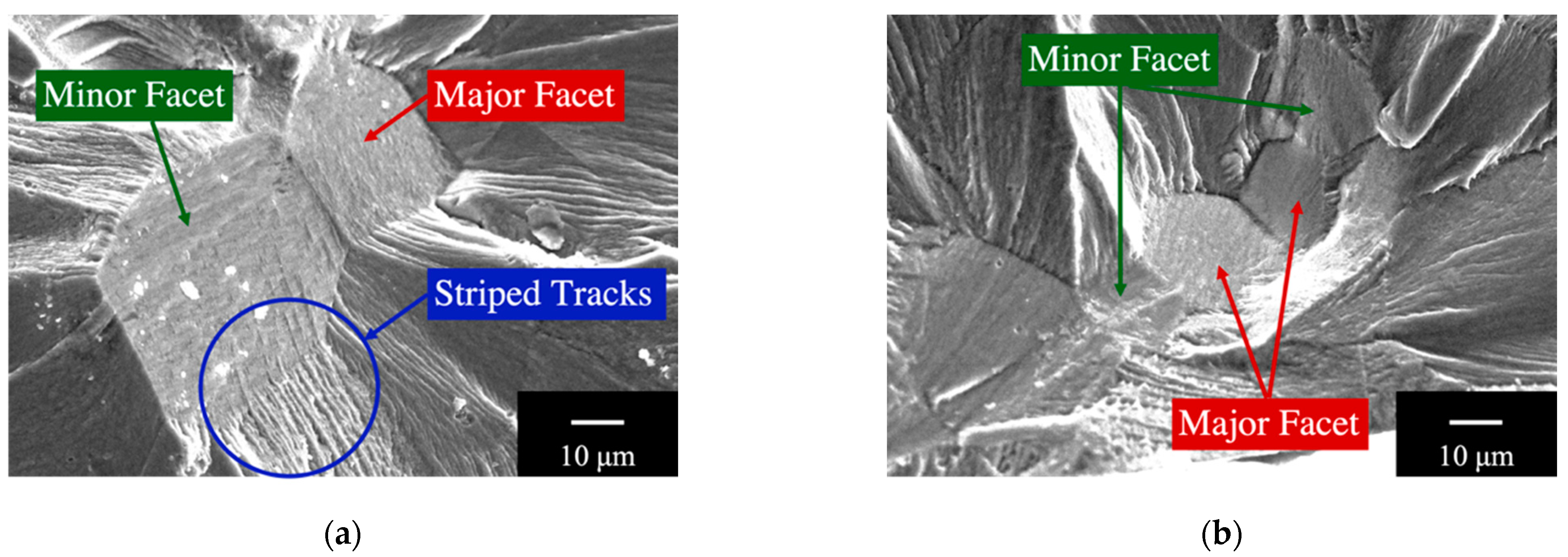 Applsci 11 00131 g007 Applsci 11 00131 g007