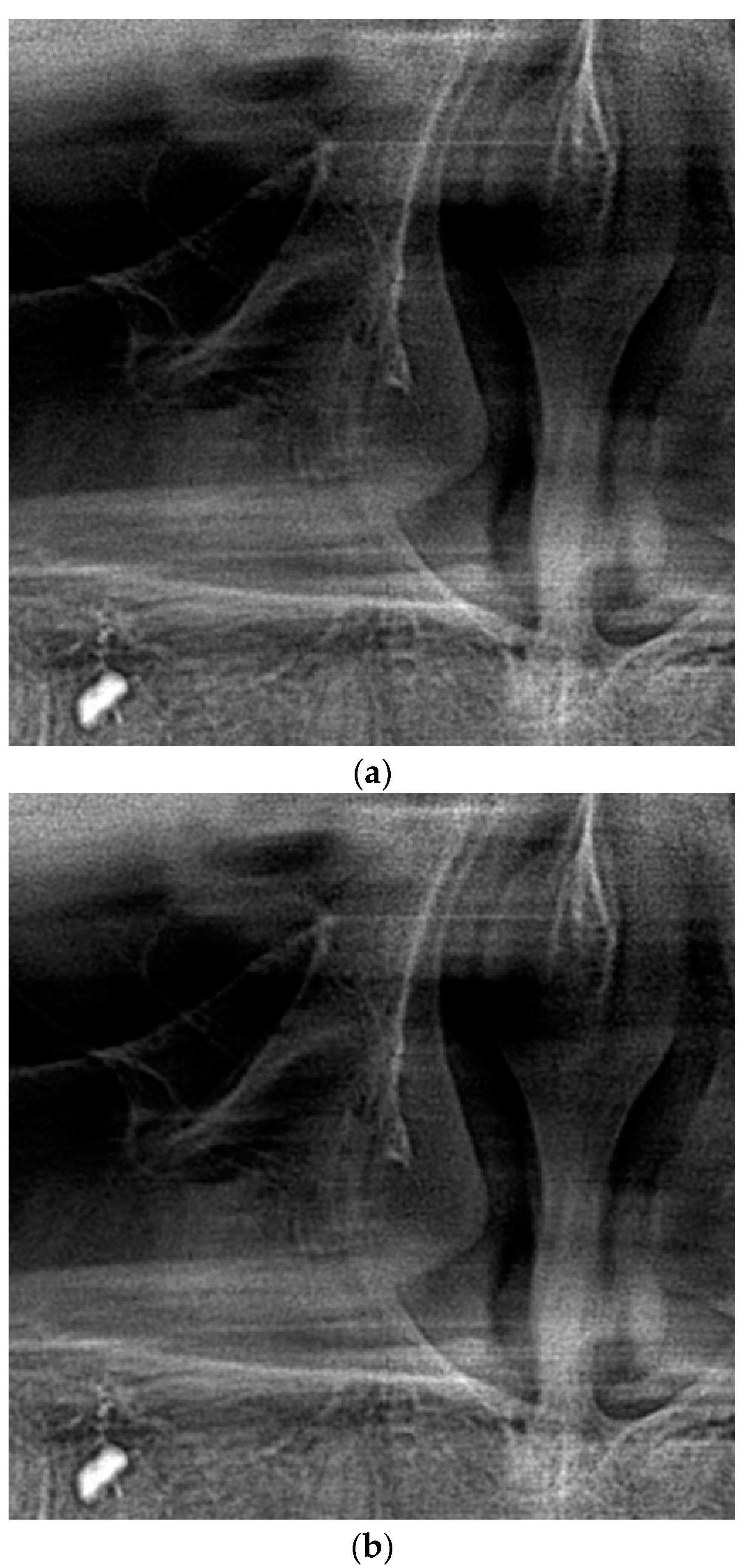 Applsci 11 00135 g007