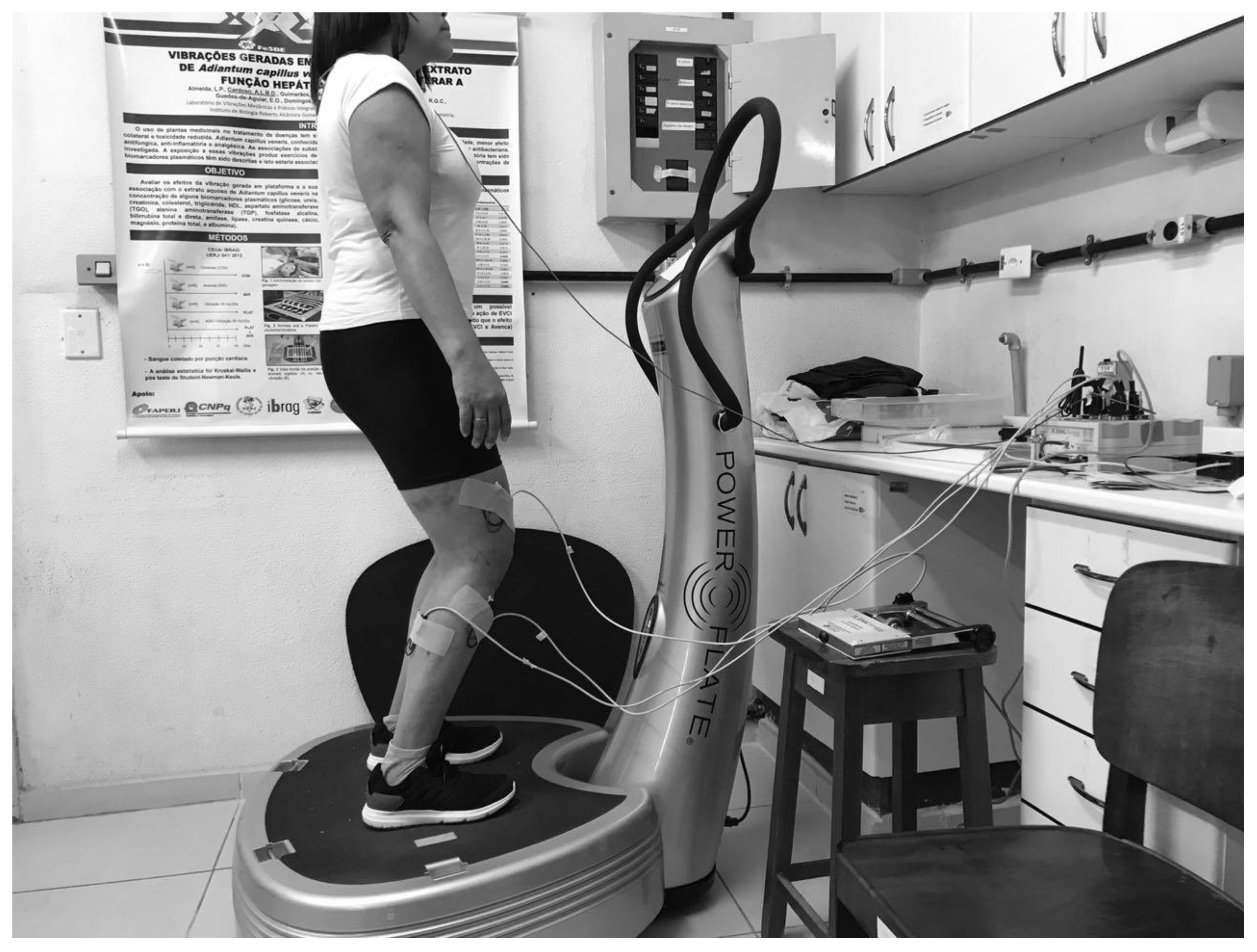 Applsci 11 00138 g002 Applsci 11 00138 g002