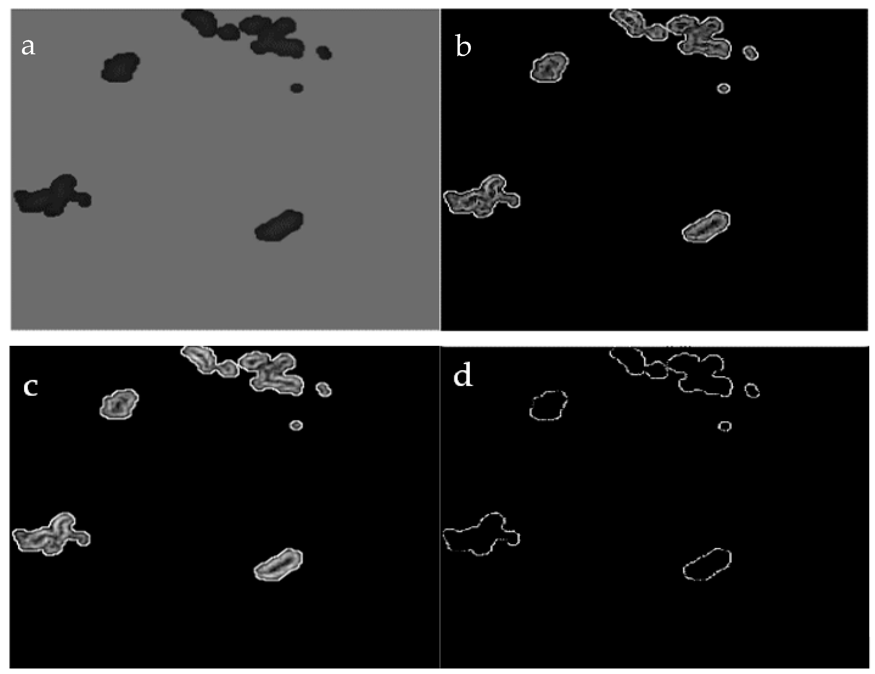 Applsci 11 00142 g007