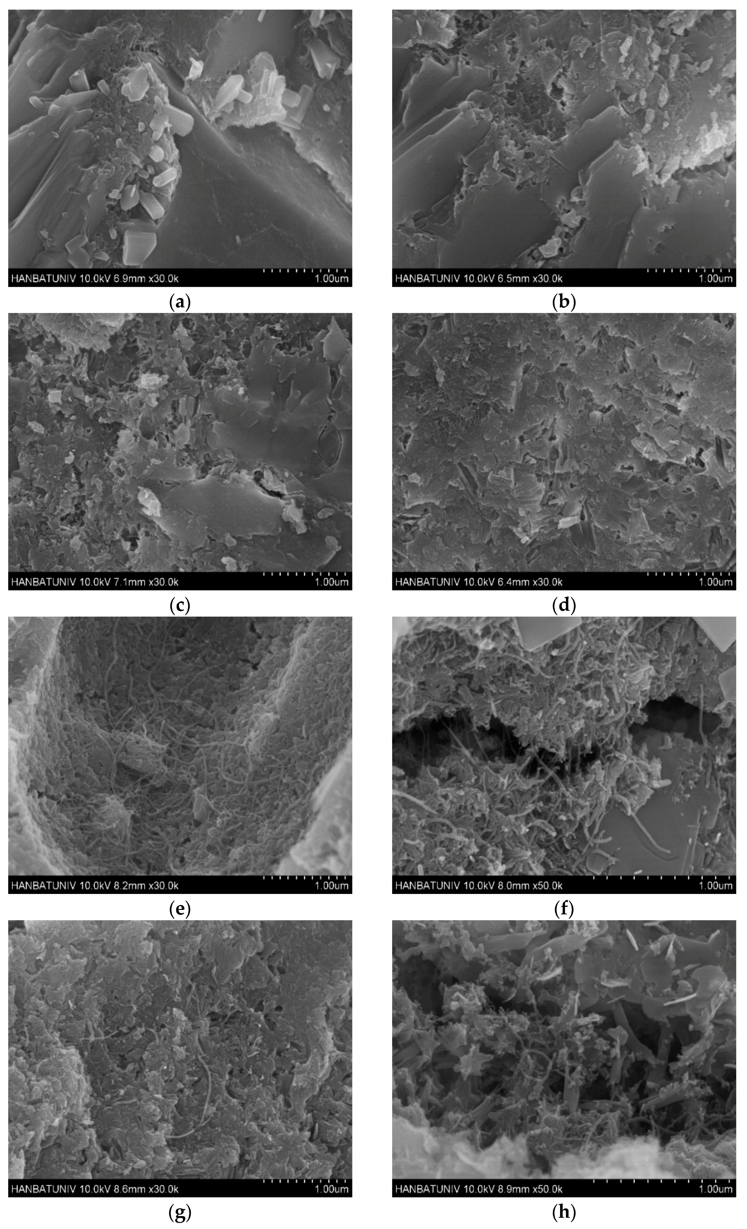 Applsci 11 00152 g006a Applsci 11 00152 g006a