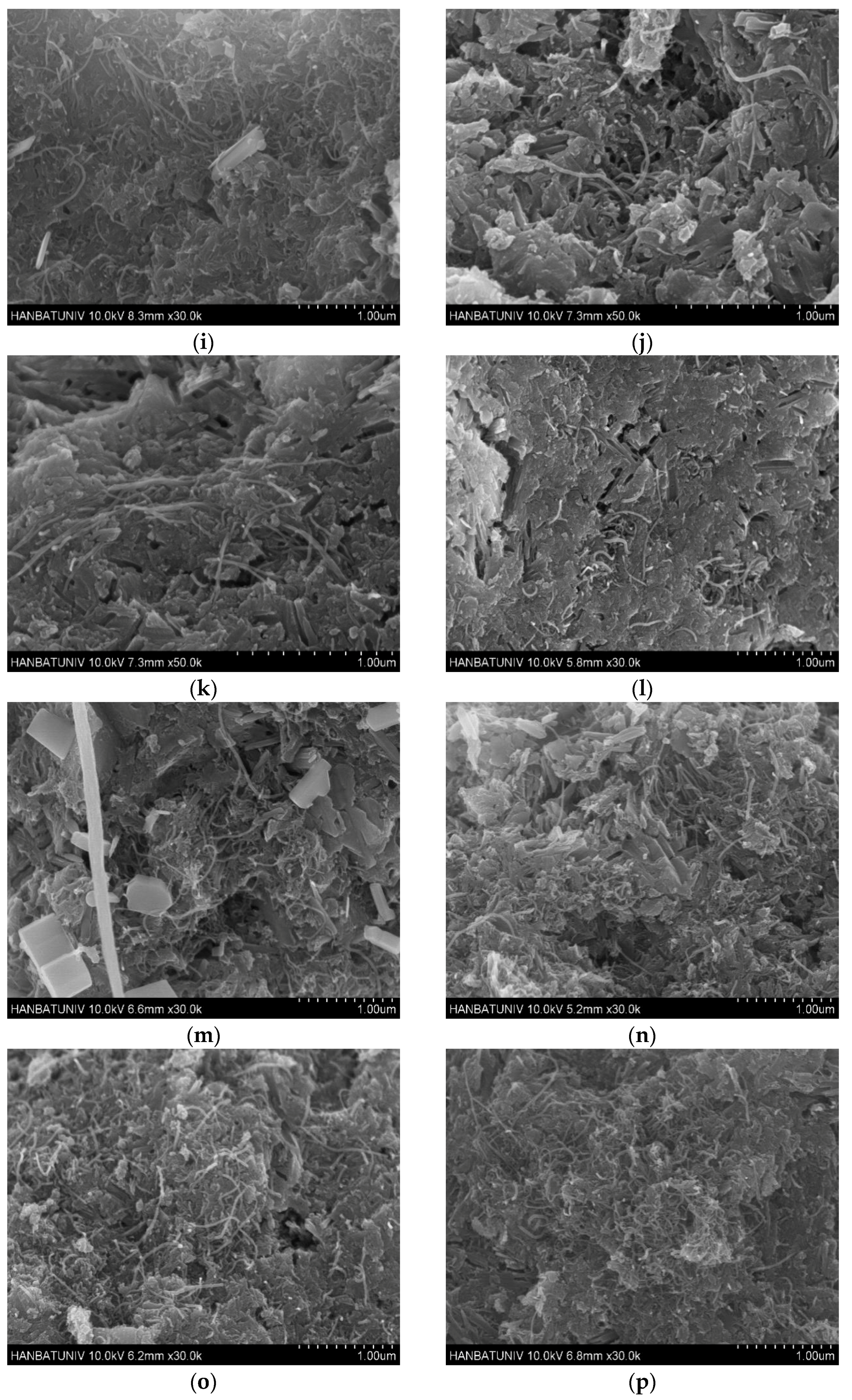 Applsci 11 00152 g006b Applsci 11 00152 g006b