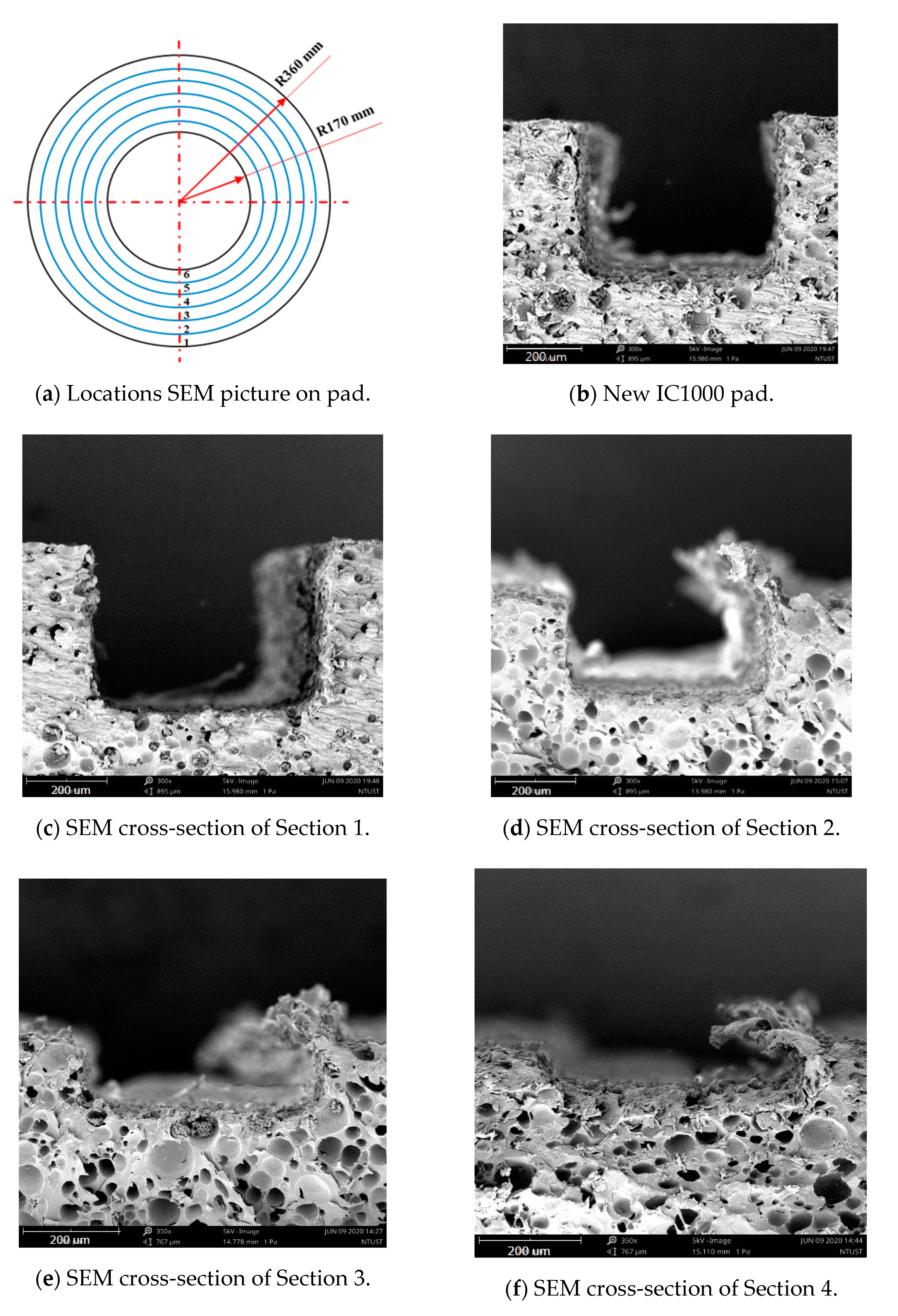 Applsci 11 00179 g011a Applsci 11 00179 g011a