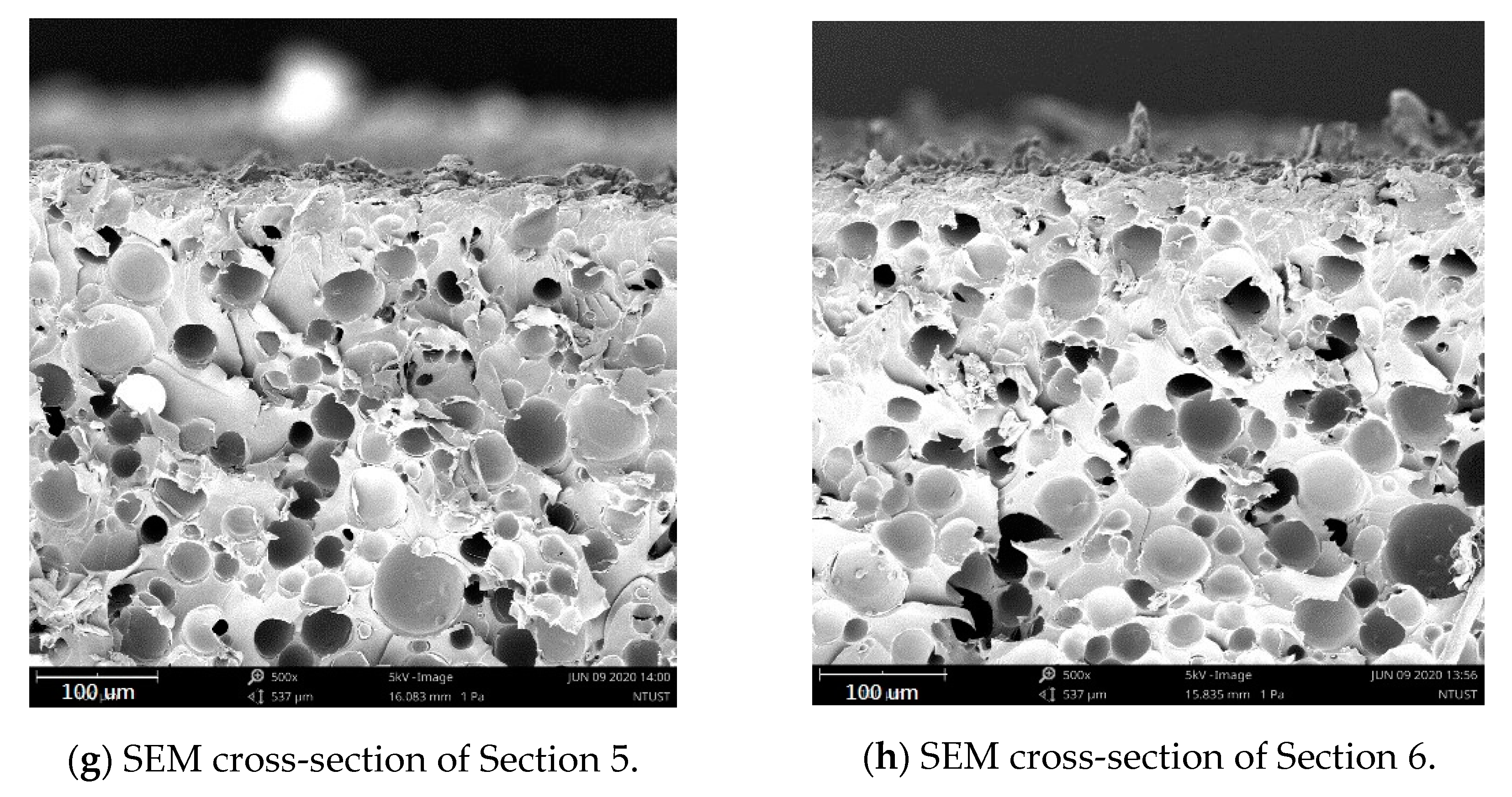 Applsci 11 00179 g011b Applsci 11 00179 g011b