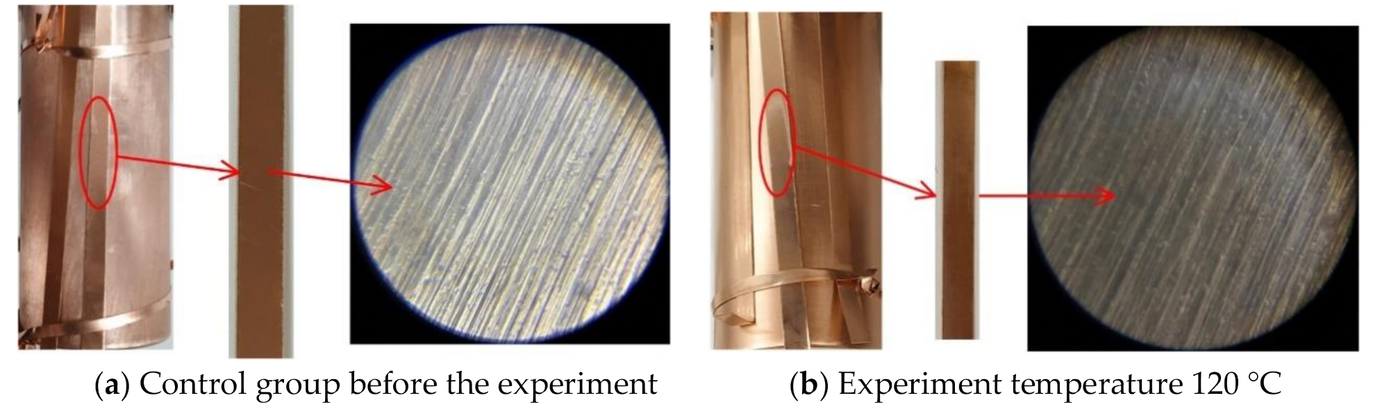 Applsci 11 00197 g002a