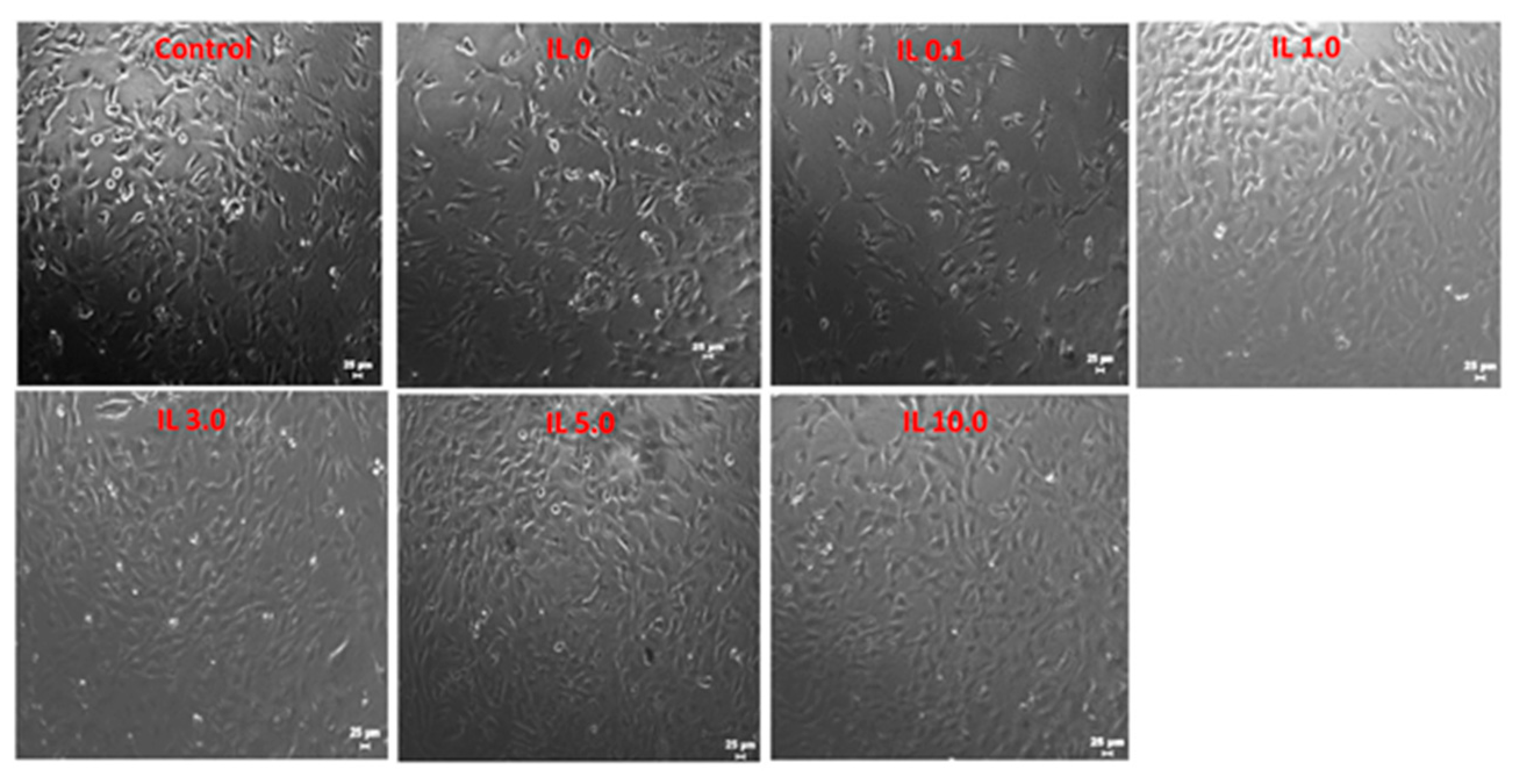 Applsci 11 00206 g007 Applsci 11 00206 g007