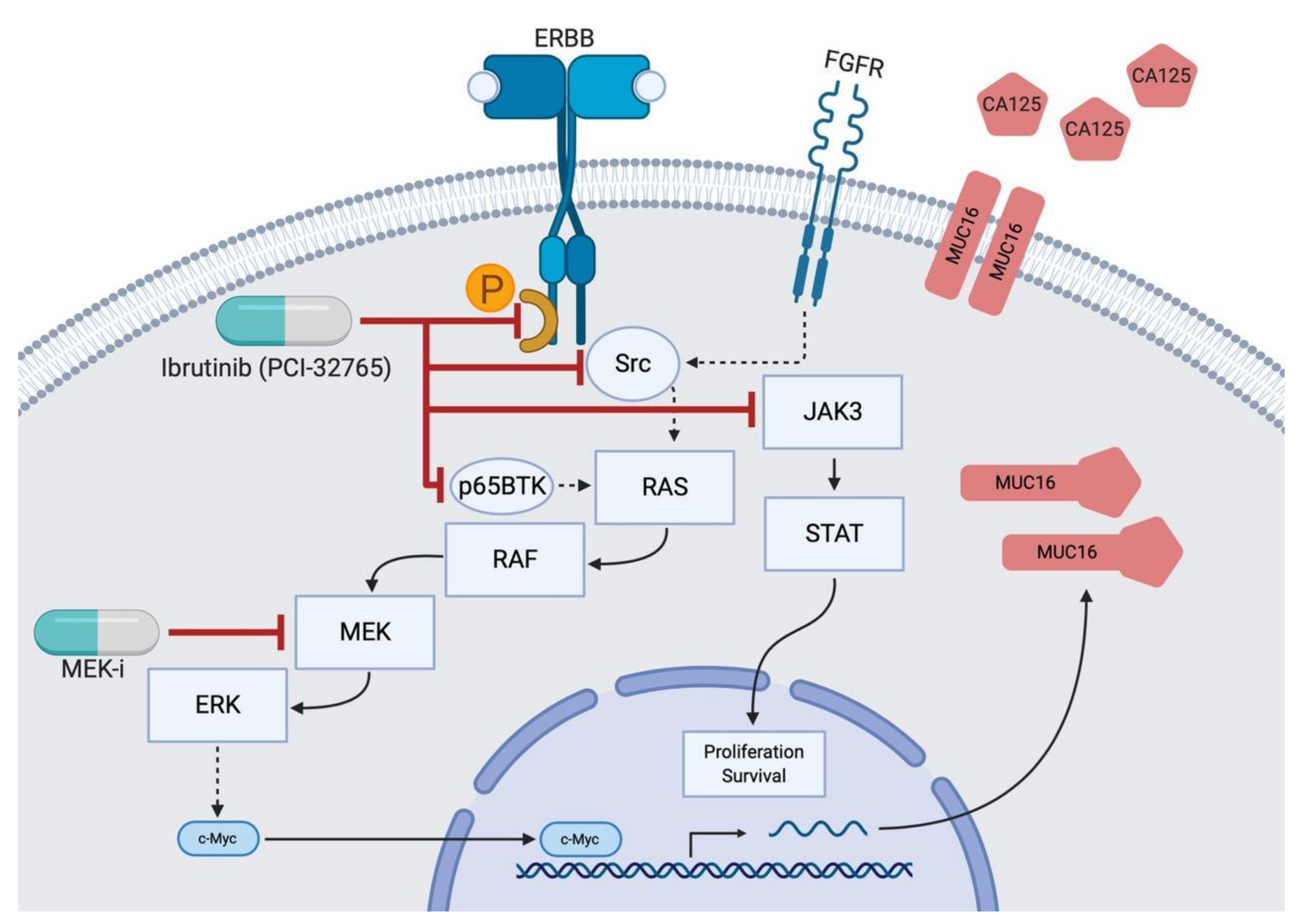 Applsci 11 00222 g002