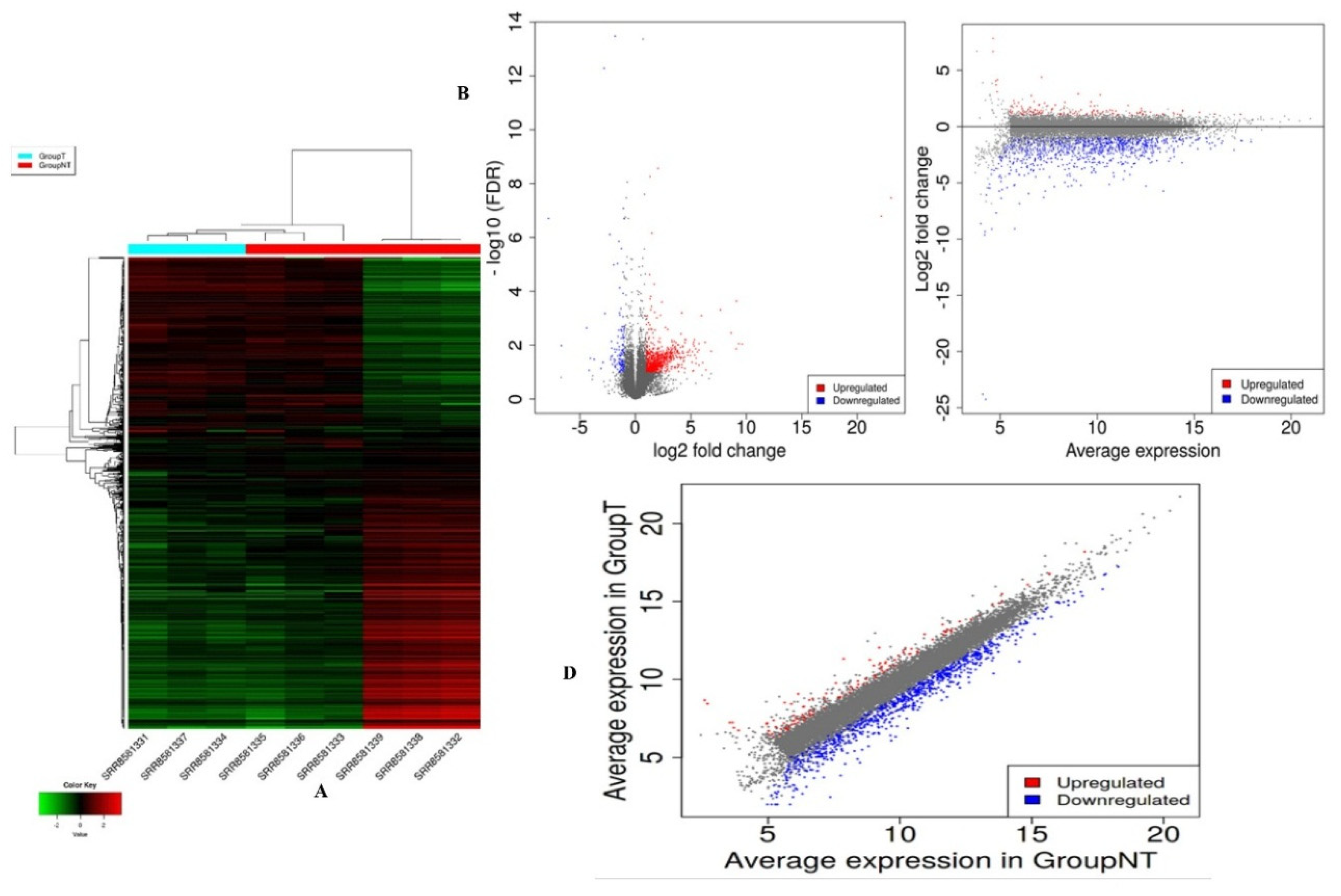 Applsci 11 00226 g003
